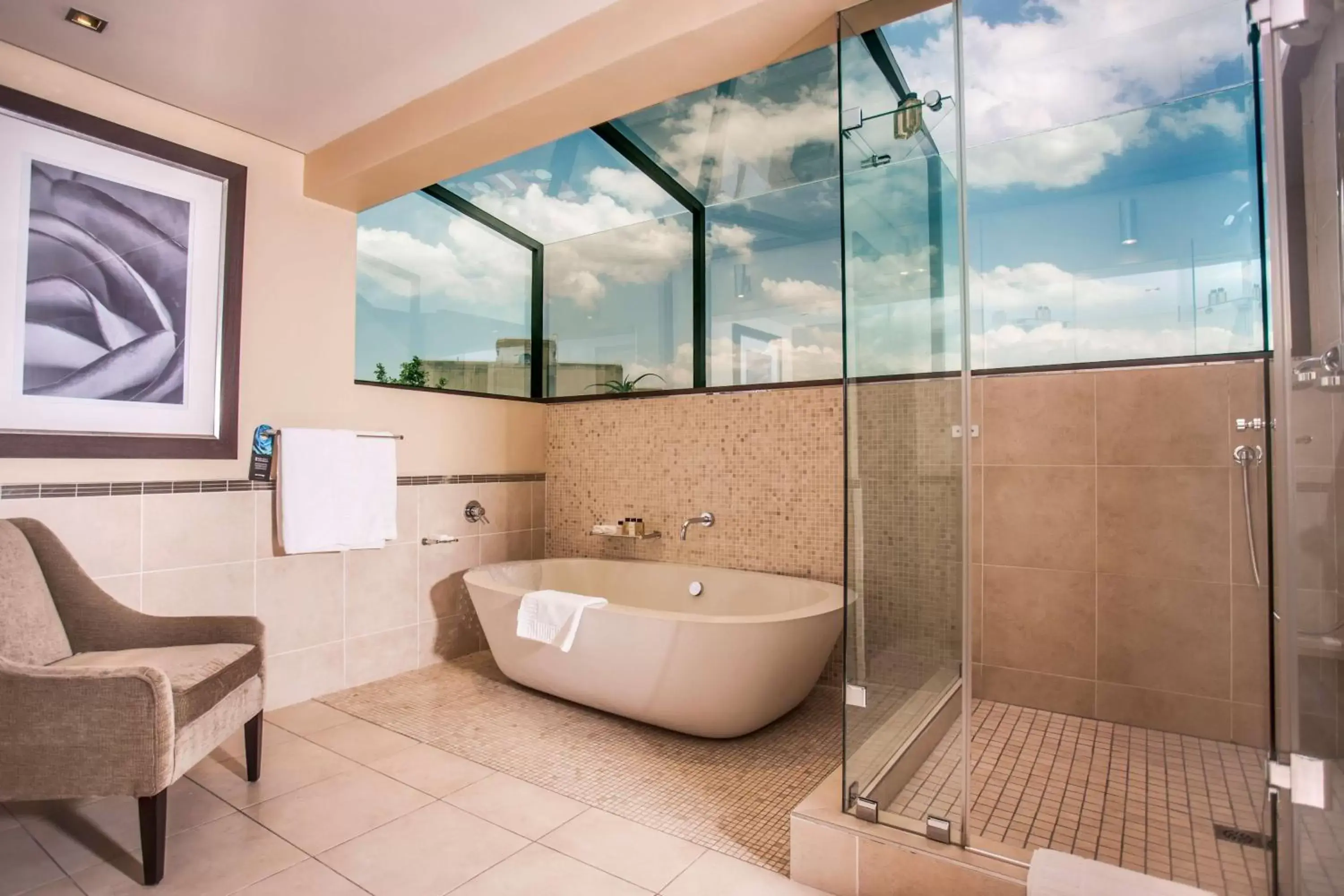 Shower, Bathroom in Southern Sun Pretoria