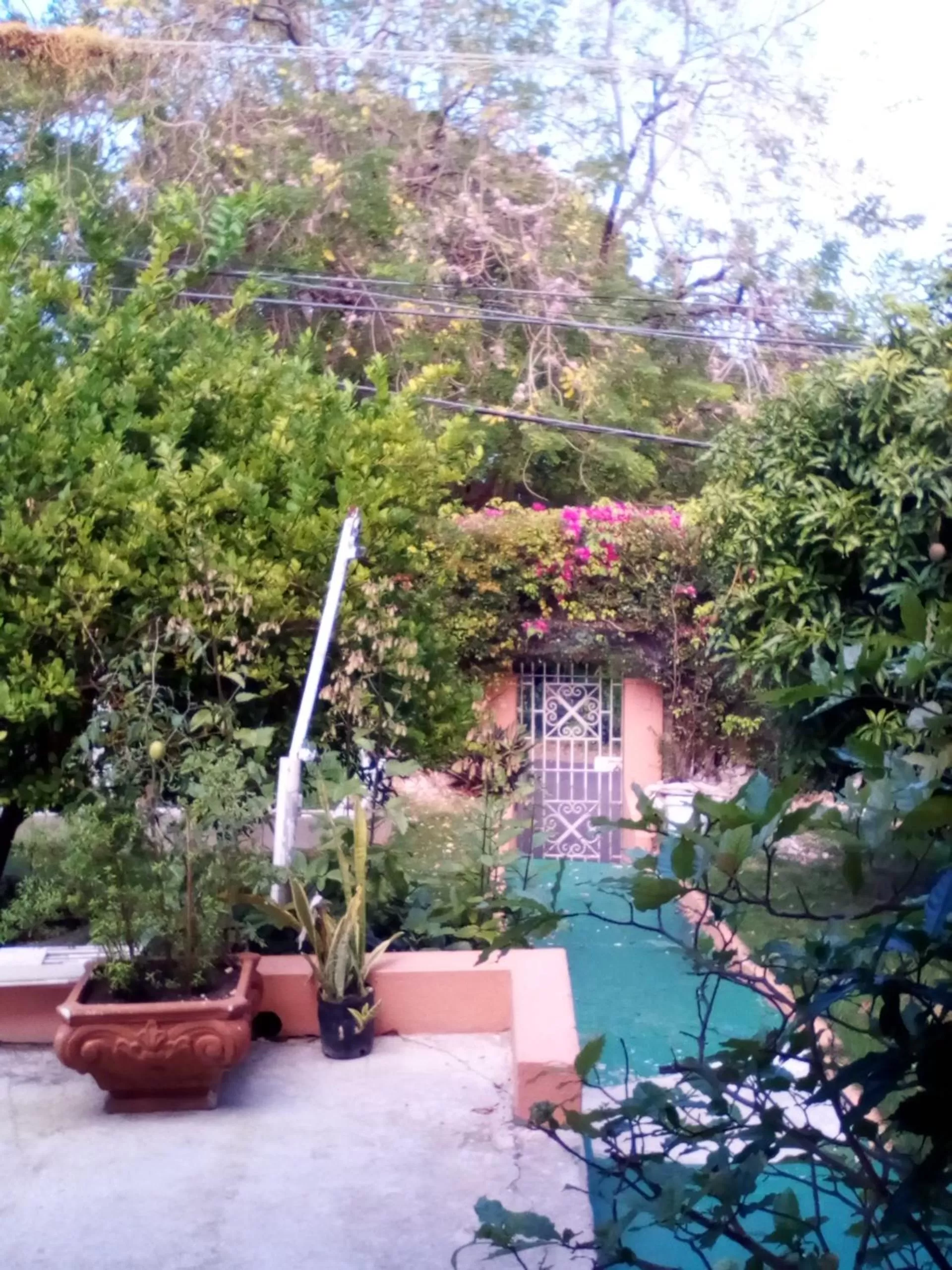 Property building in Castlevue B&B