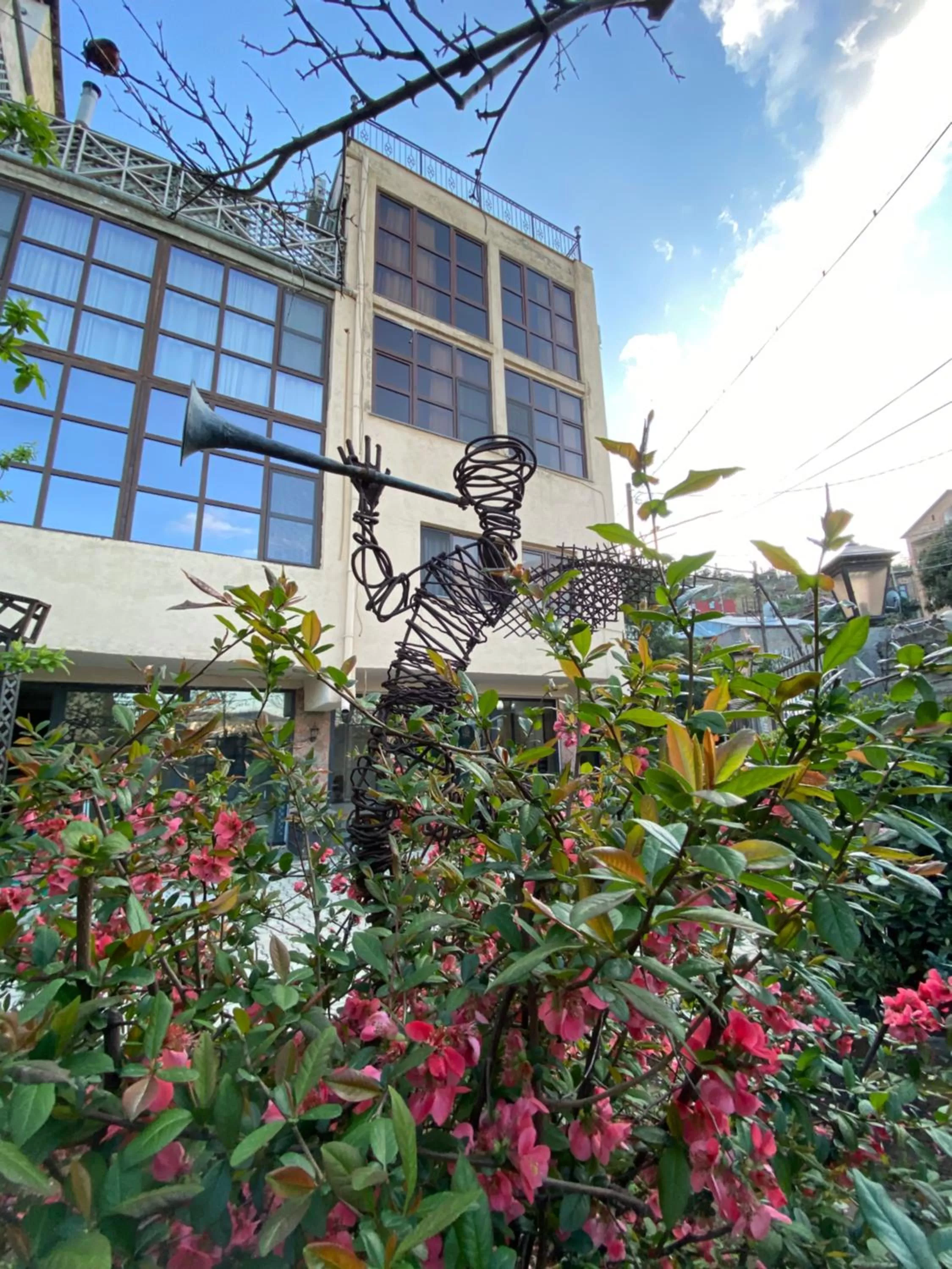 Garden in Wine Hills