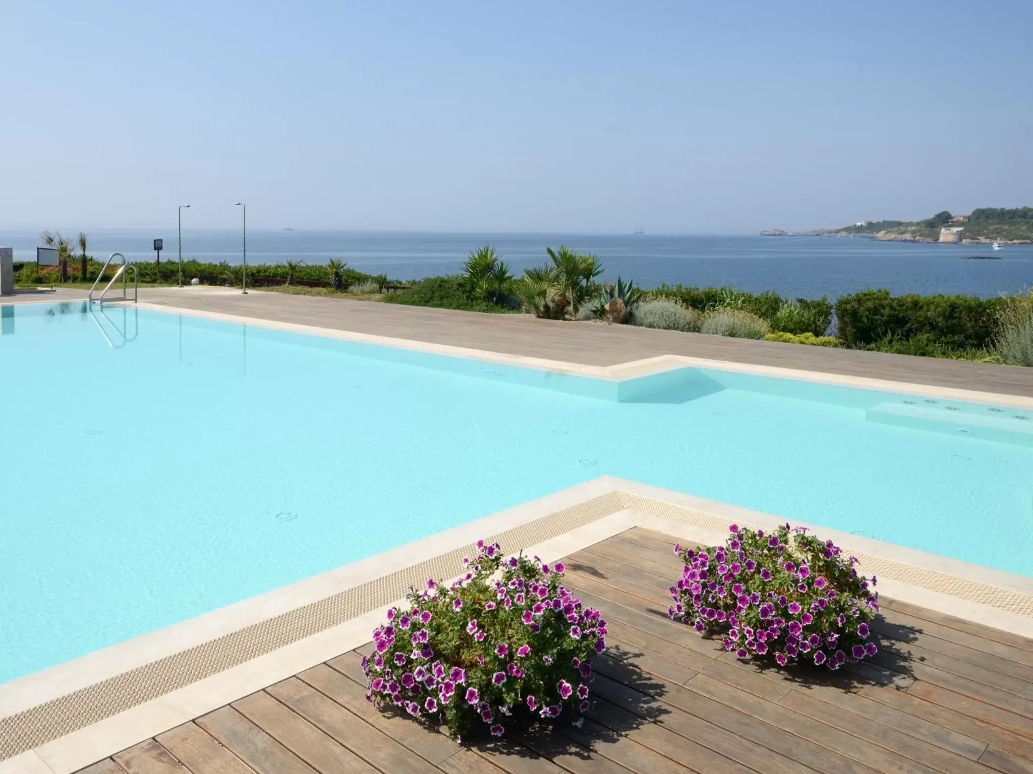 Pool view, Swimming Pool in Hotel Dei Pini