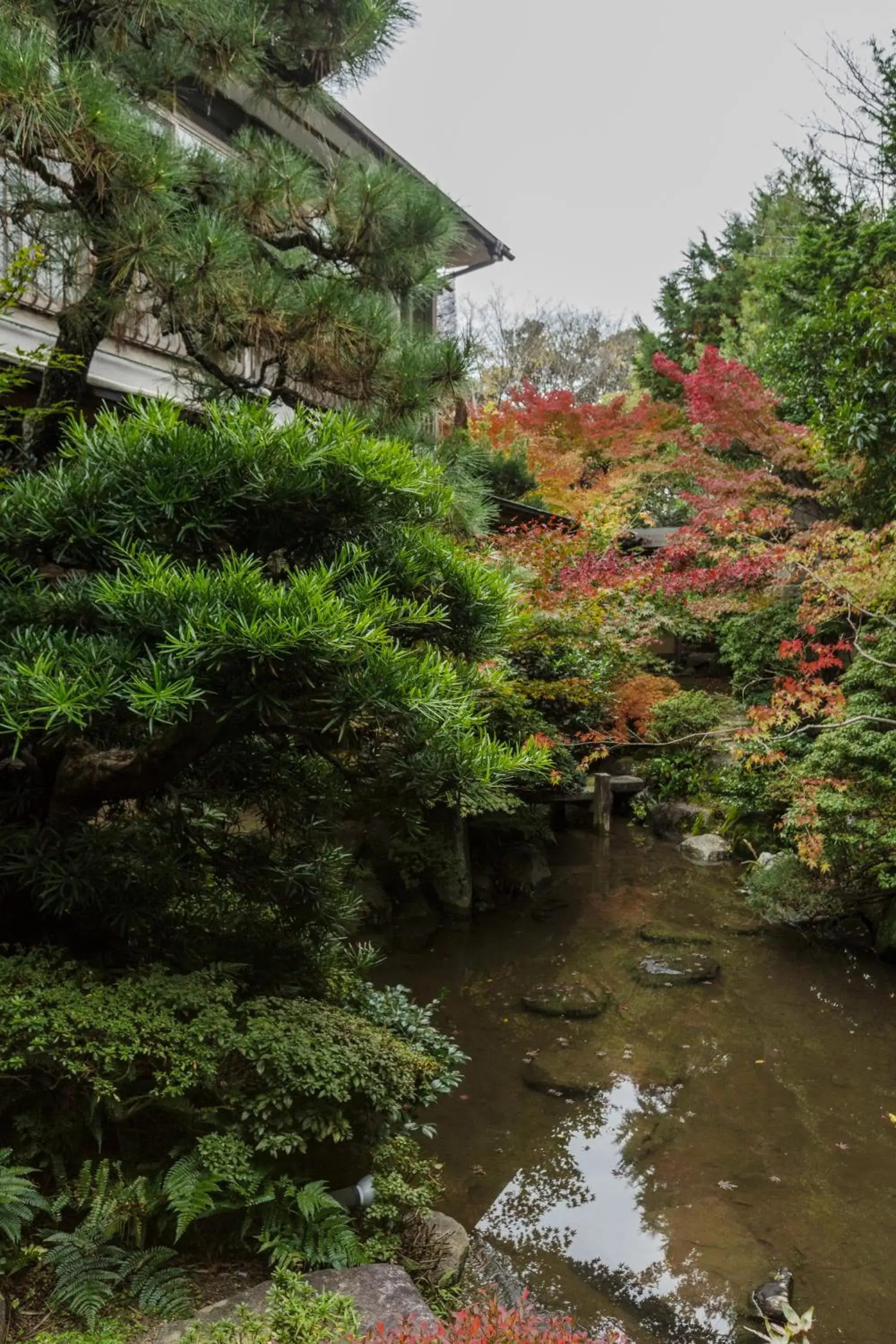 Garden in Kyoto Nanzenji Ryokan Yachiyo