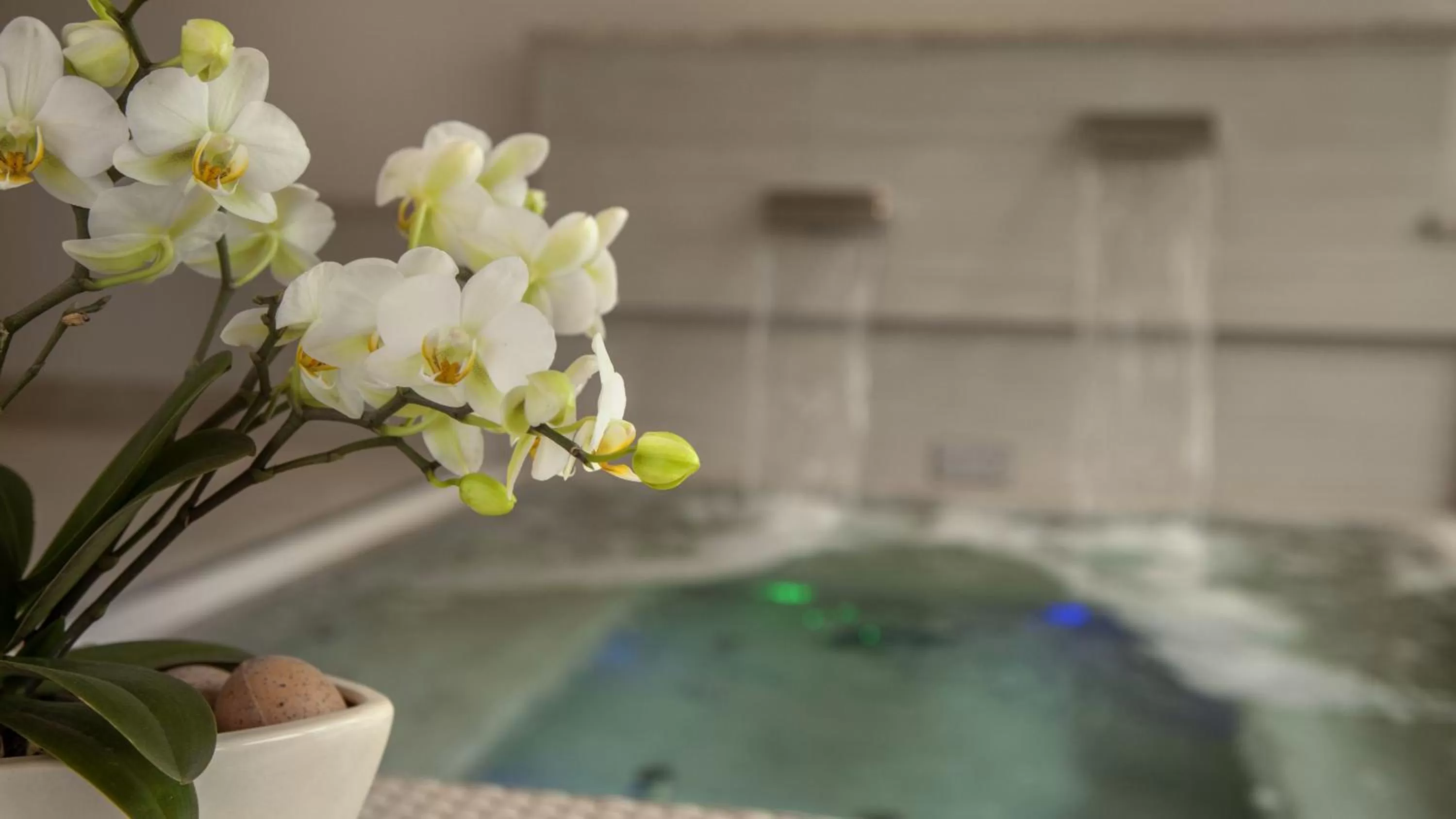 Hot Tub in Parkhotel Delta, Wellbeing Resort