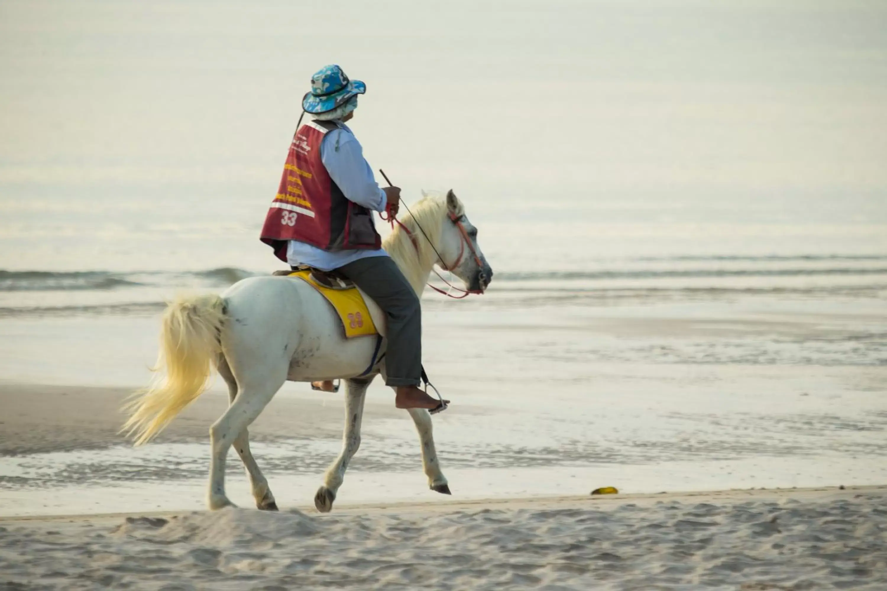 Restaurant/places to eat in Sailom Hotel Hua Hin - SHA Extra Plus Restaurant/places to eat in Sailom Hotel Hua Hin - SHA Extra Plus