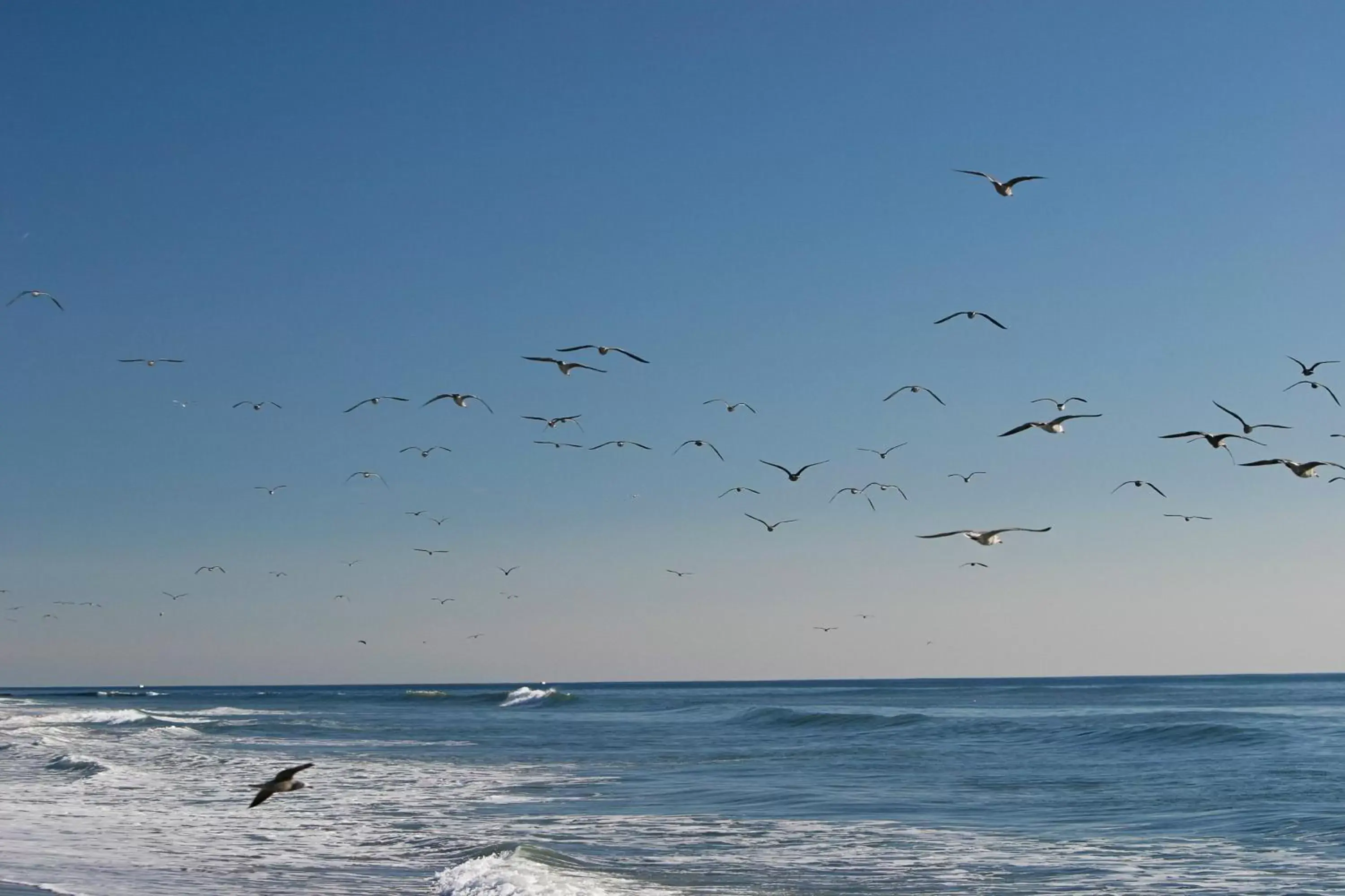 Nearby landmark, Beach in Holiday Inn Express & Suites Carpinteria, an IHG Hotel