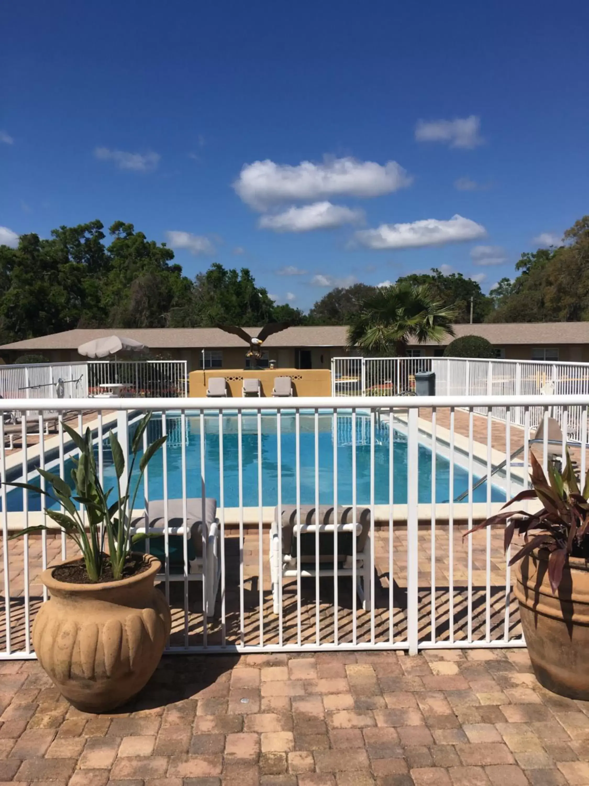 Pool view, Swimming Pool in Days Inn by Wyndham Orange City/Deland