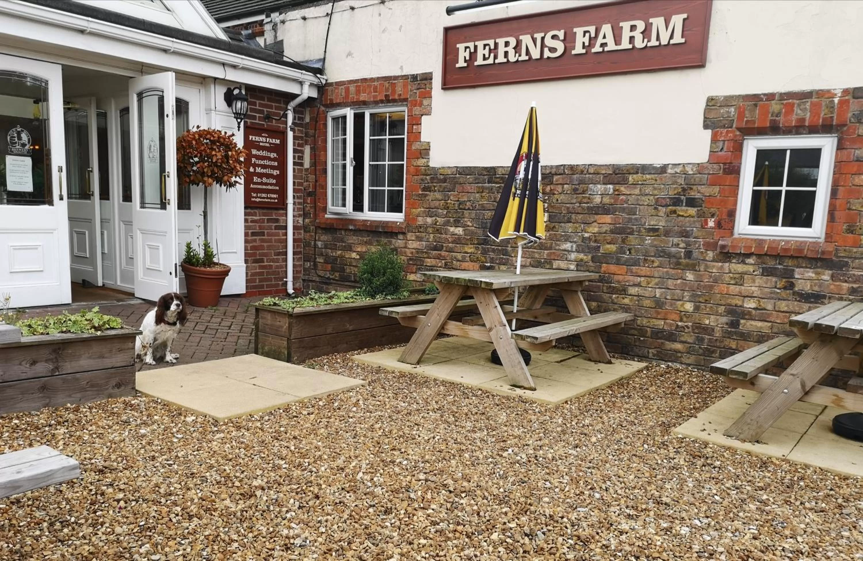 Patio in Ferns Hotel/Palms Leisure
