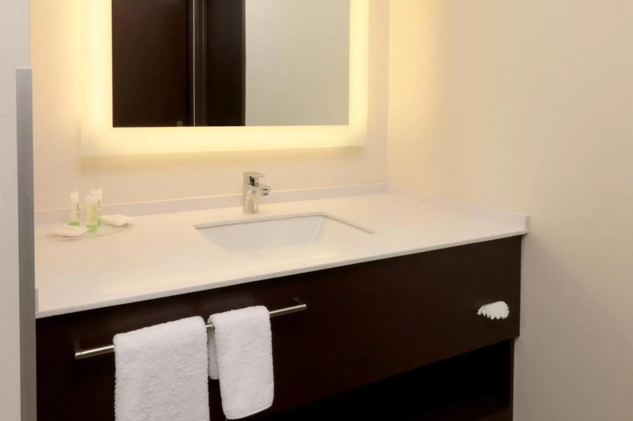 Bathroom in Staybridge Suites San Luis Potosi, an IHG Hotel