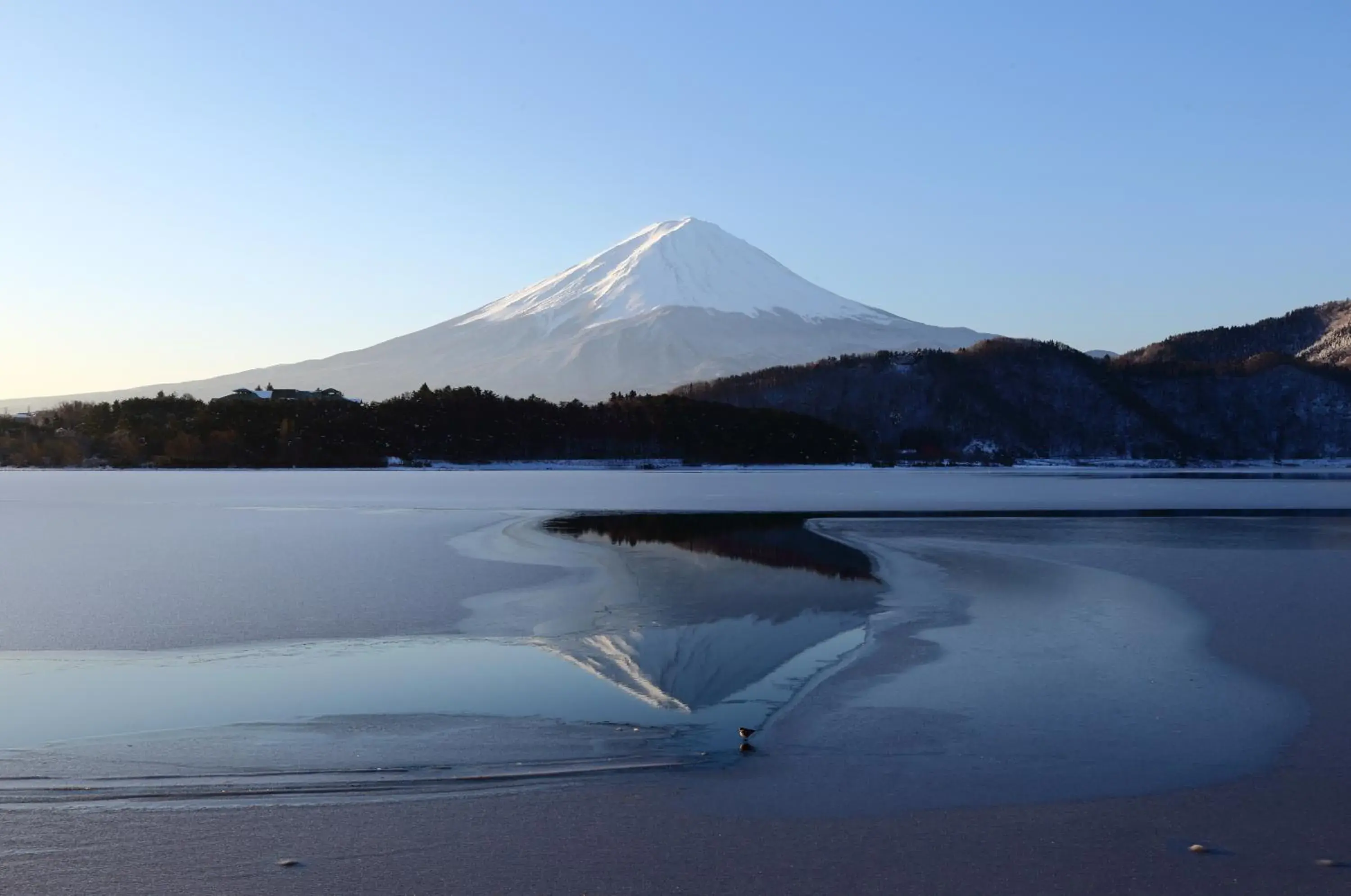 Natural landscape in HOTEL MYSTAYS Fuji Onsen Resort