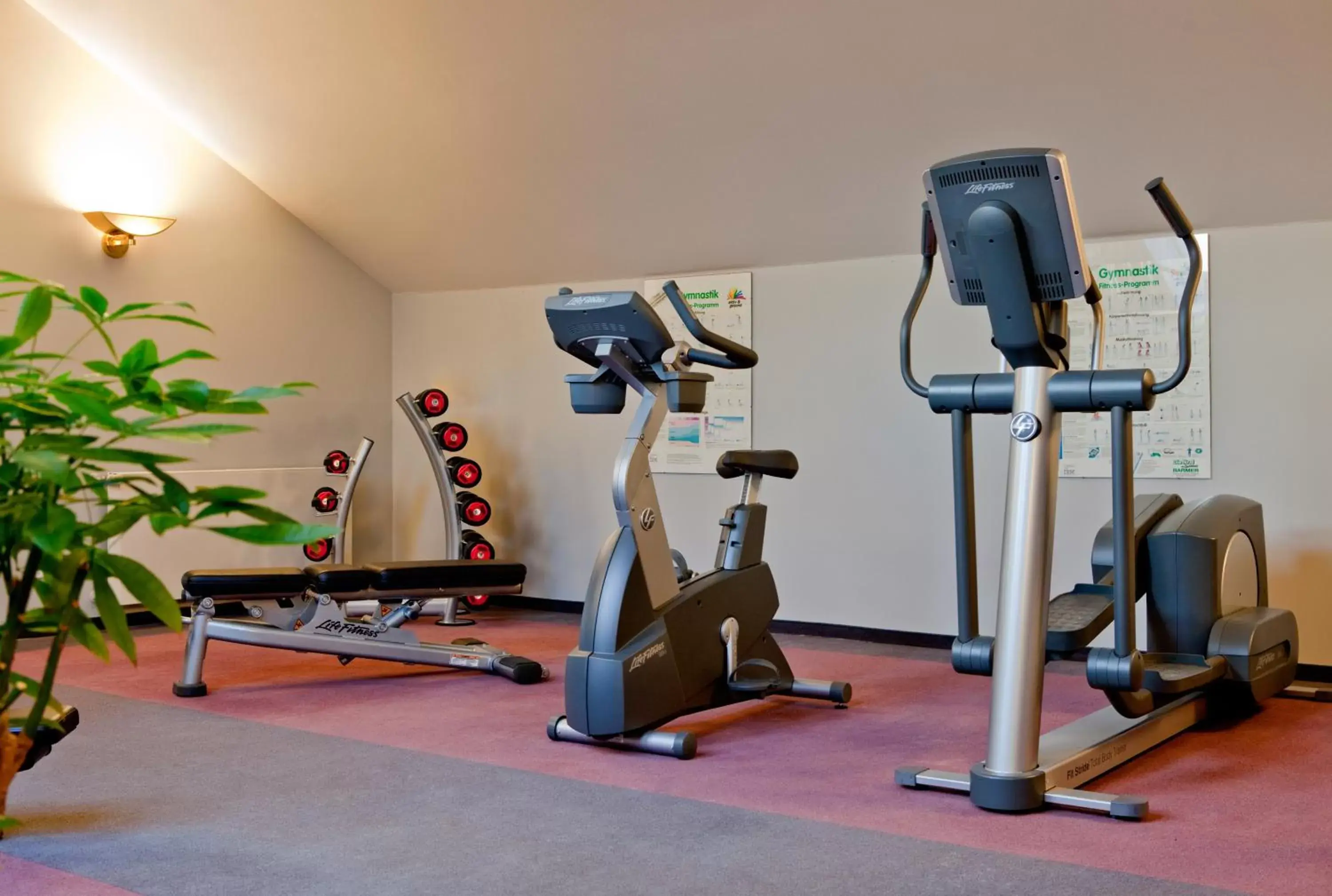 Fitness centre/facilities, Fitness Center/Facilities in Vienna House by Wyndham Thüringer Hof Eisenach
