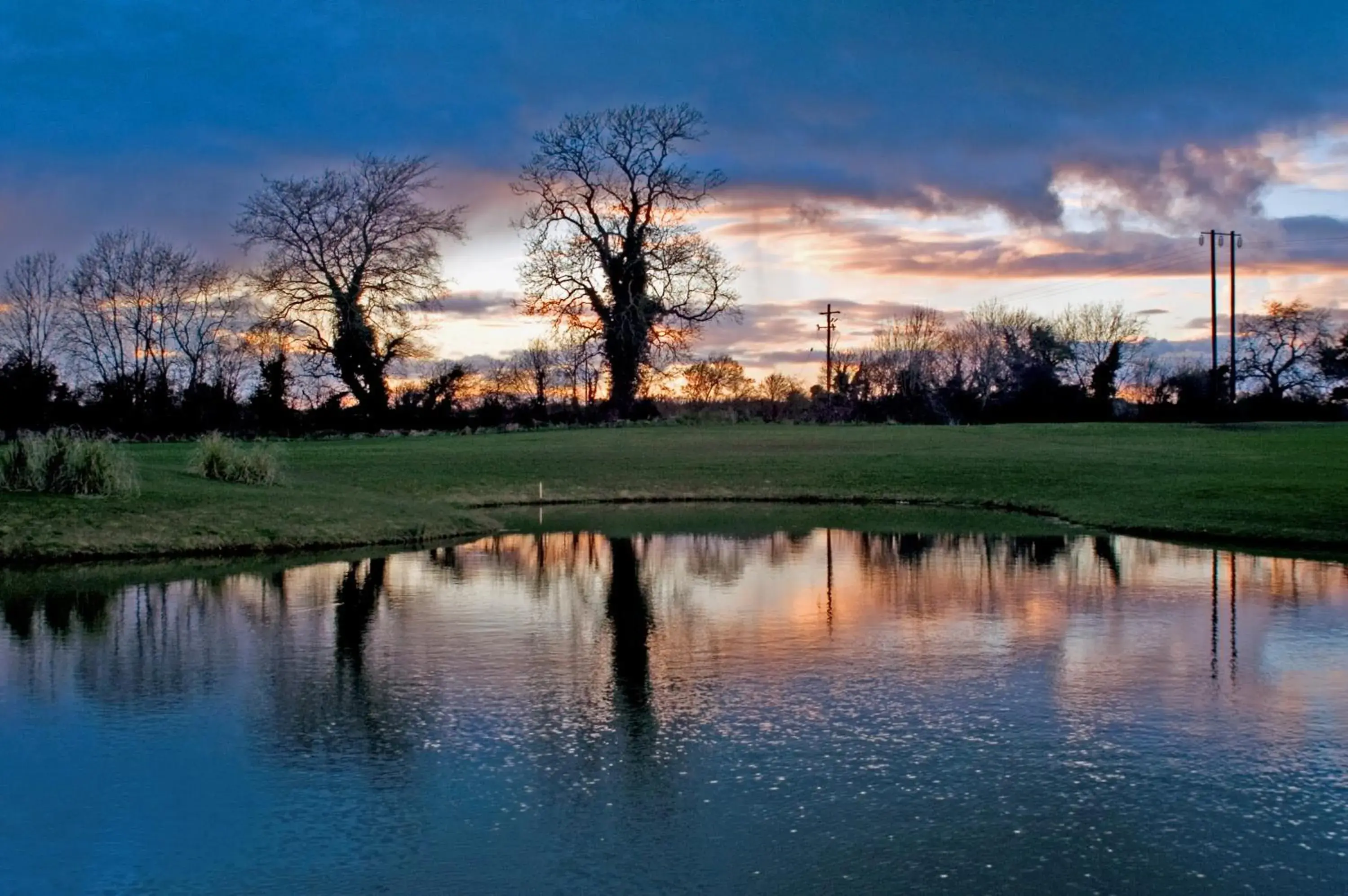 Natural landscape in Roganstown Hotel & Country Club