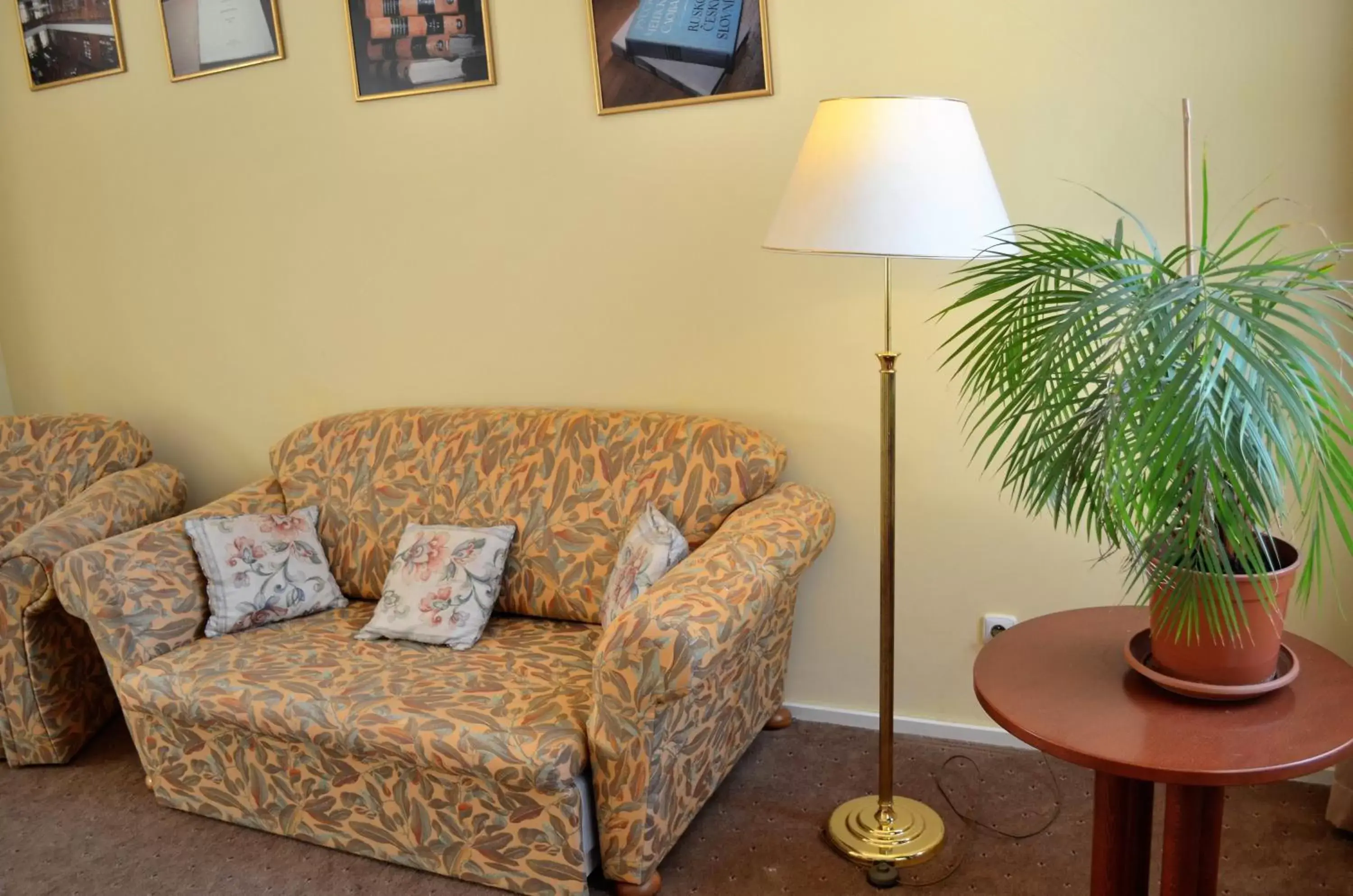 Seating Area in Hotel Petr