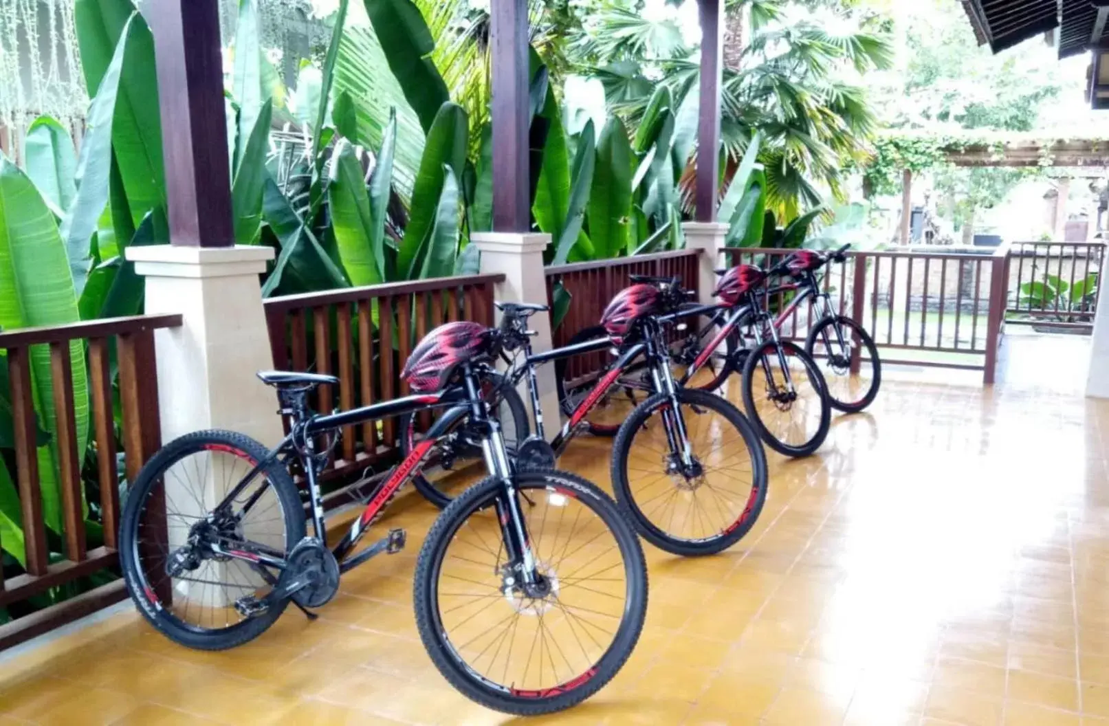 Activities, Biking in Best Western Premier Agung Resort Ubud