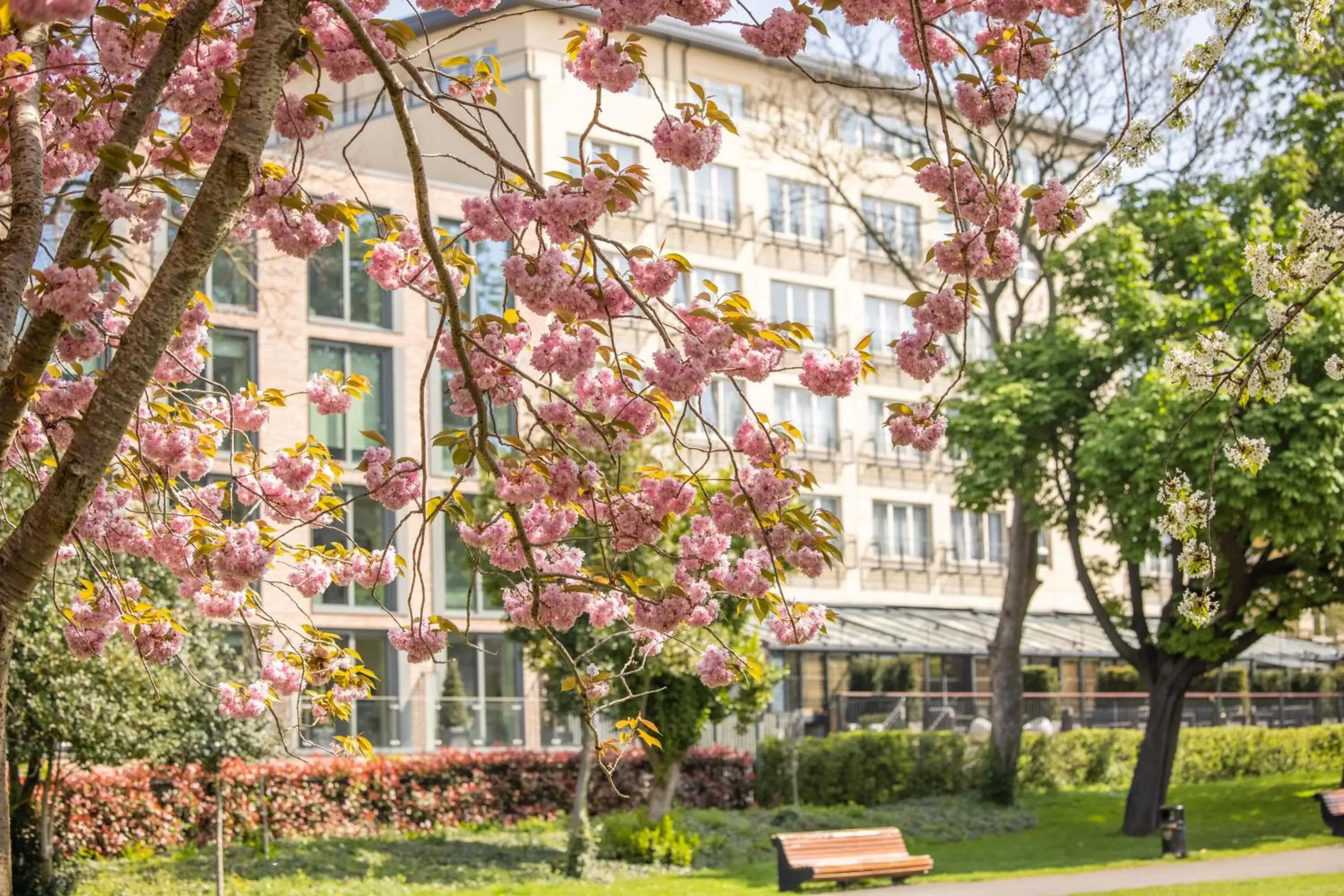 Area and facilities, Property Building in Herbert Park Hotel and Park Residence