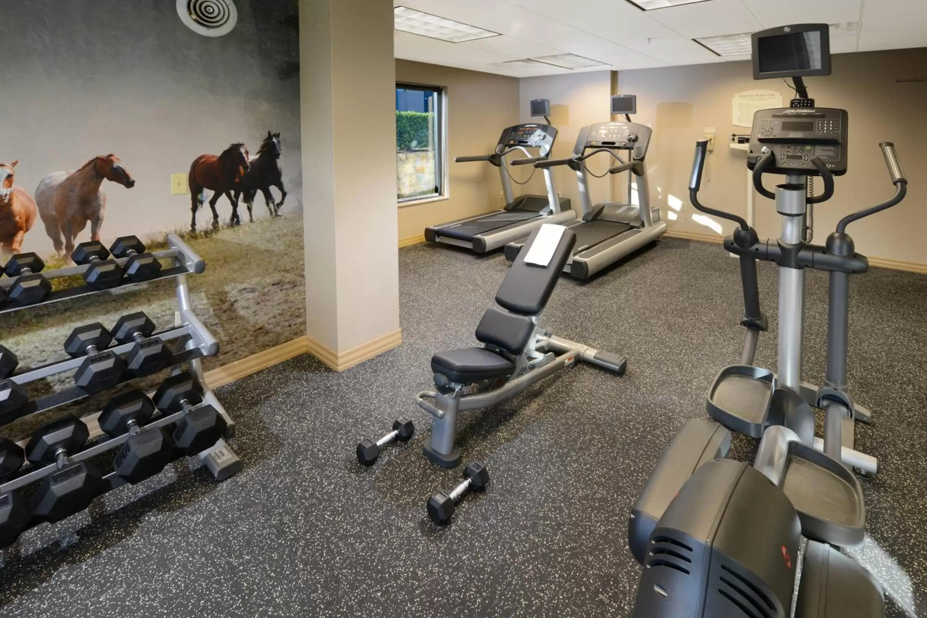 Fitness centre/facilities, Fitness Center/Facilities in SpringHill Suites Fort Worth University