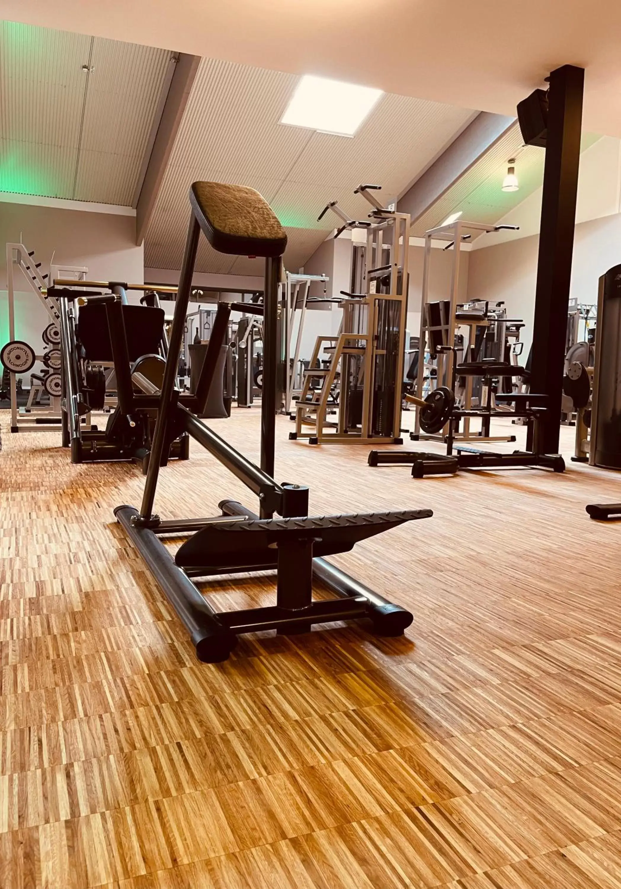 Fitness centre/facilities, Fitness Center/Facilities in Maifeld Sport- und Tagungshotel