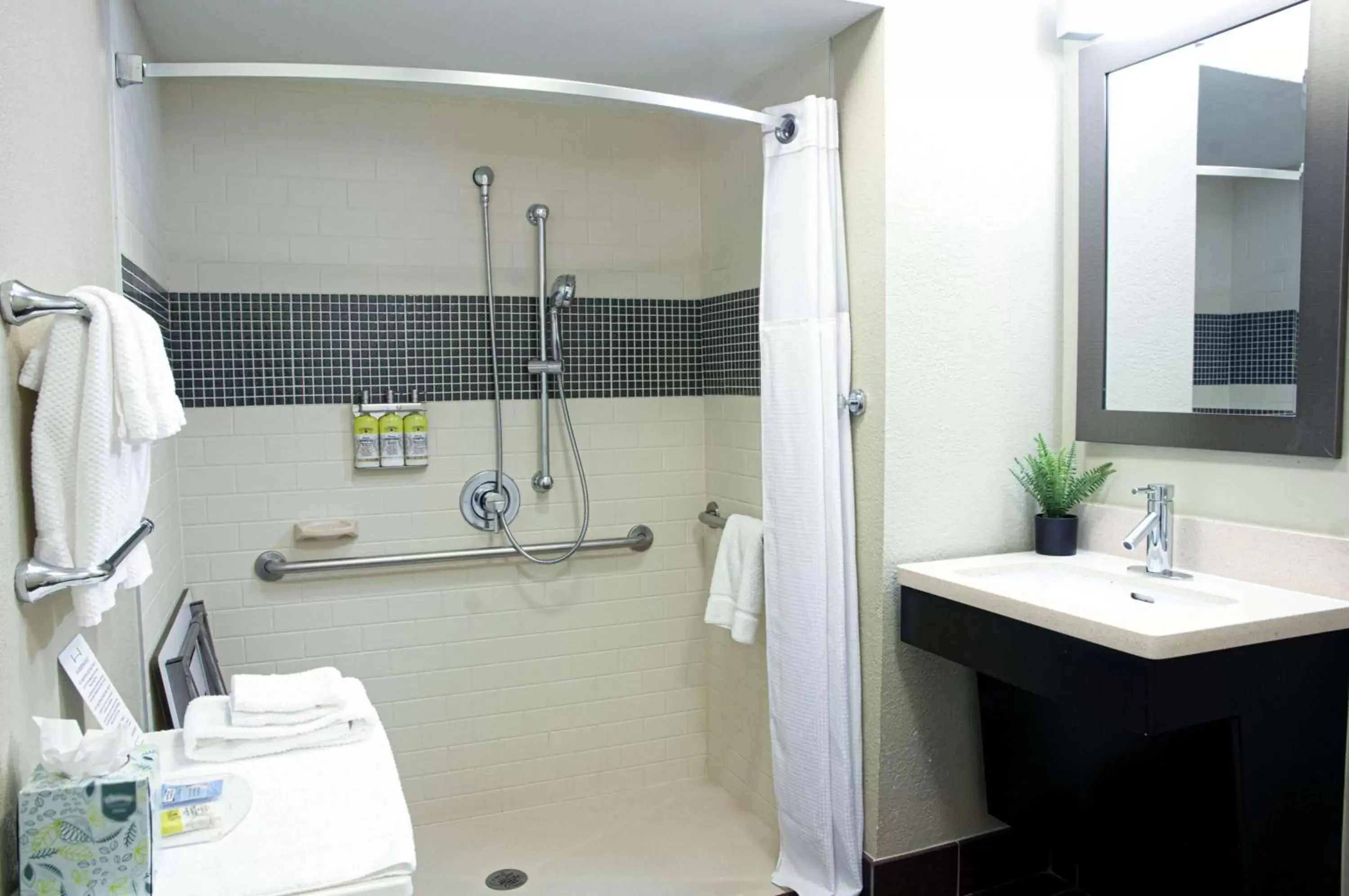 Bathroom in Sonesta ES Suites Denver South - Park Meadows