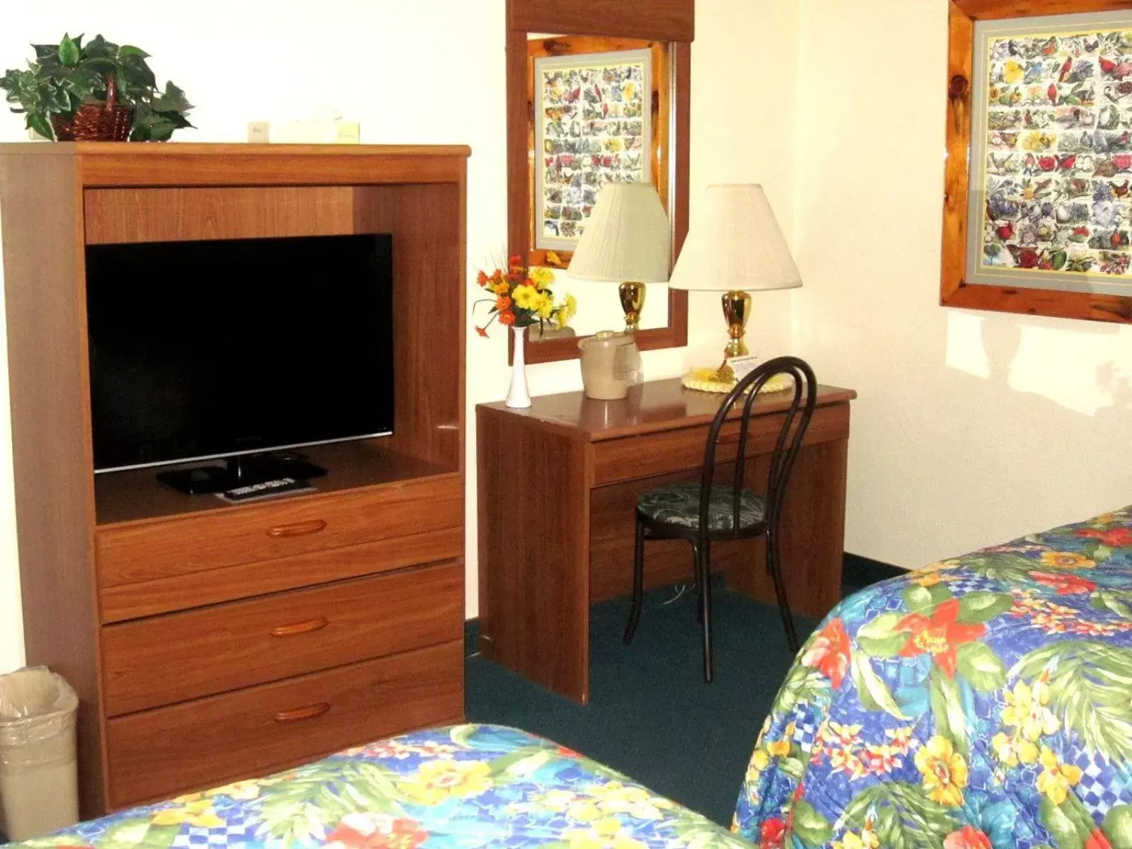 Photo of the whole room, TV/Entertainment Center in Color Country Motel