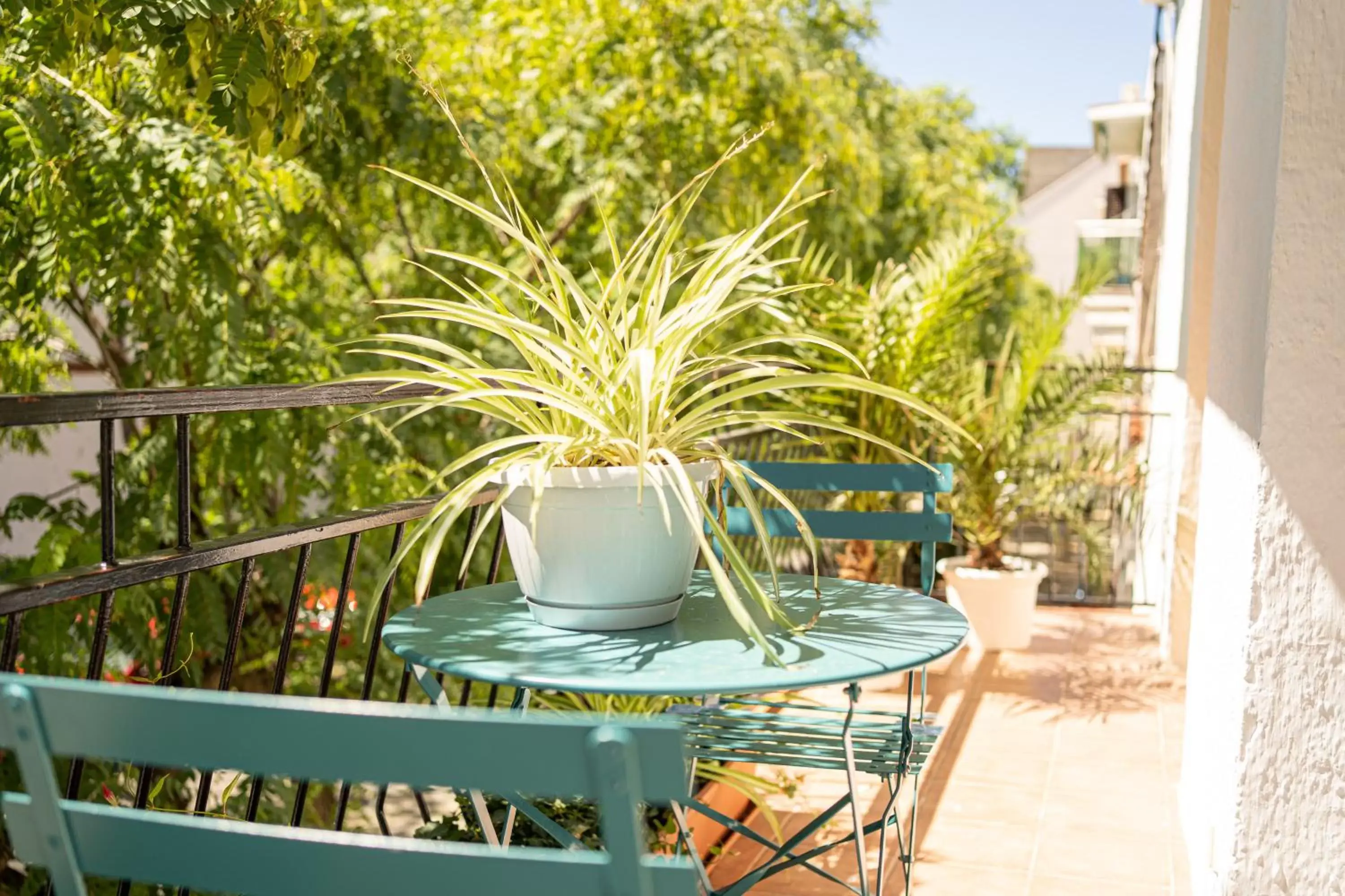 Patio, Balcony/Terrace in Sitges Beach Hostal