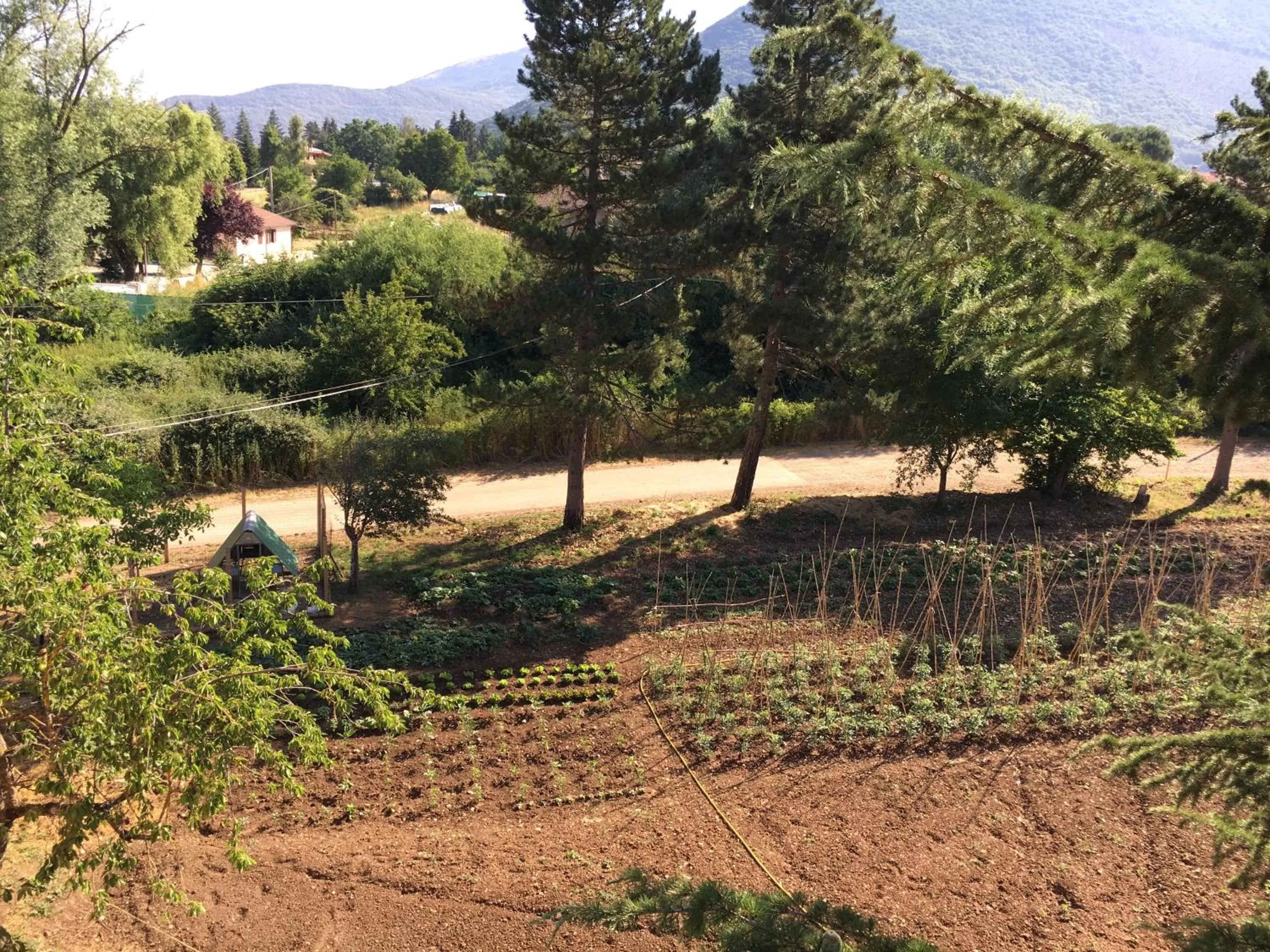 Garden in Le Calecatine