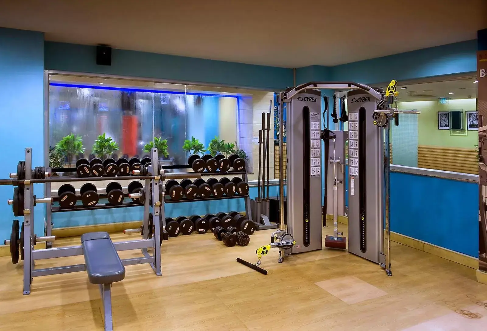 Fitness centre/facilities, Fitness Center/Facilities in The Suryaa Hotel New Delhi