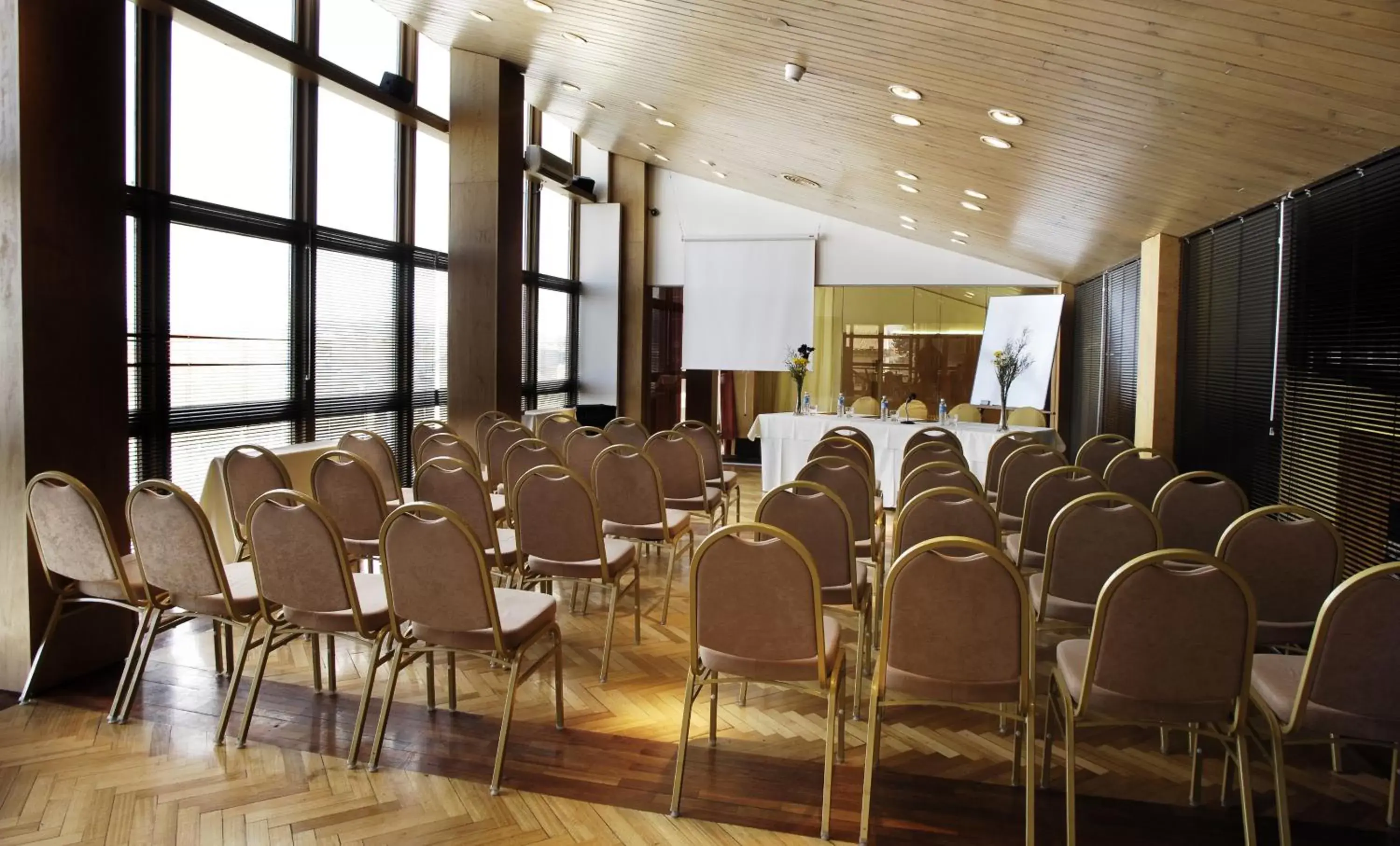 Business facilities in Hotel Albatros