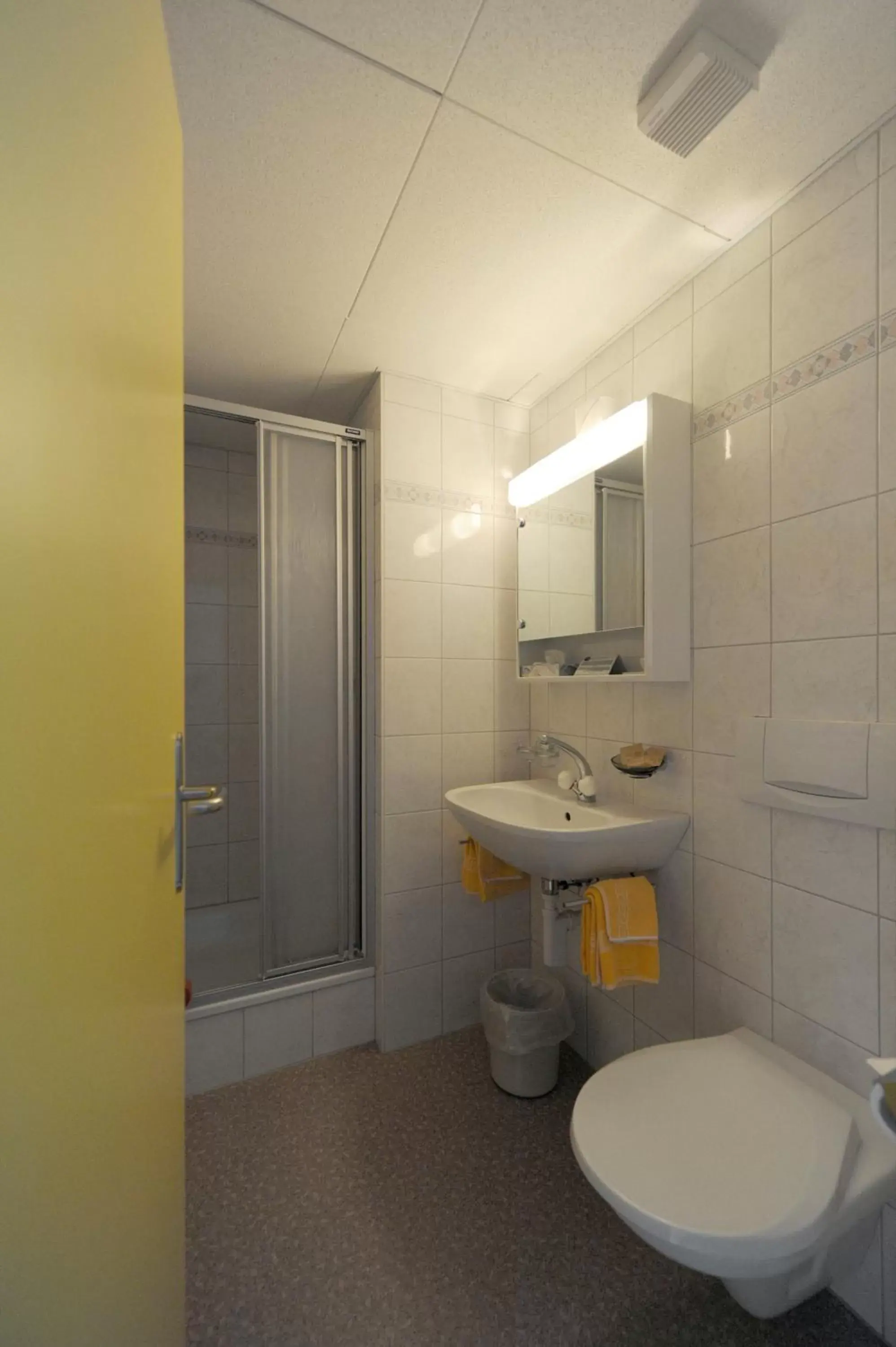 Shower, Bathroom in Hotel Krone Budget