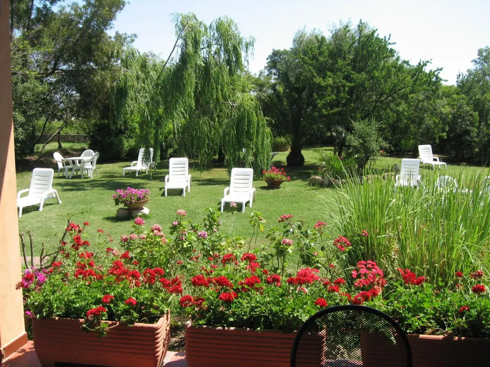 Garden in Hotel Onda Marina