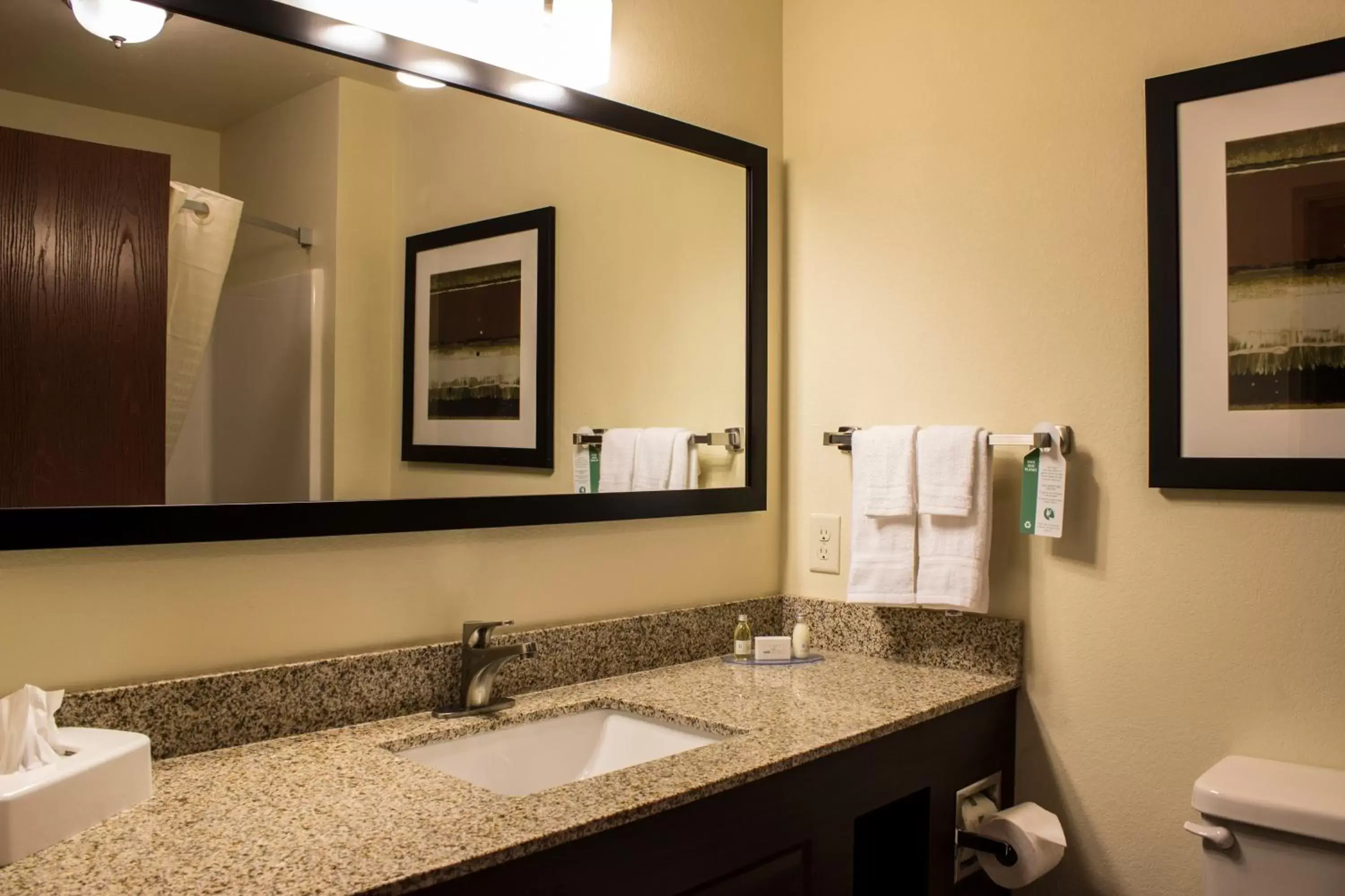 Bathroom in Cobblestone Hotel & Suites - Chippewa Falls