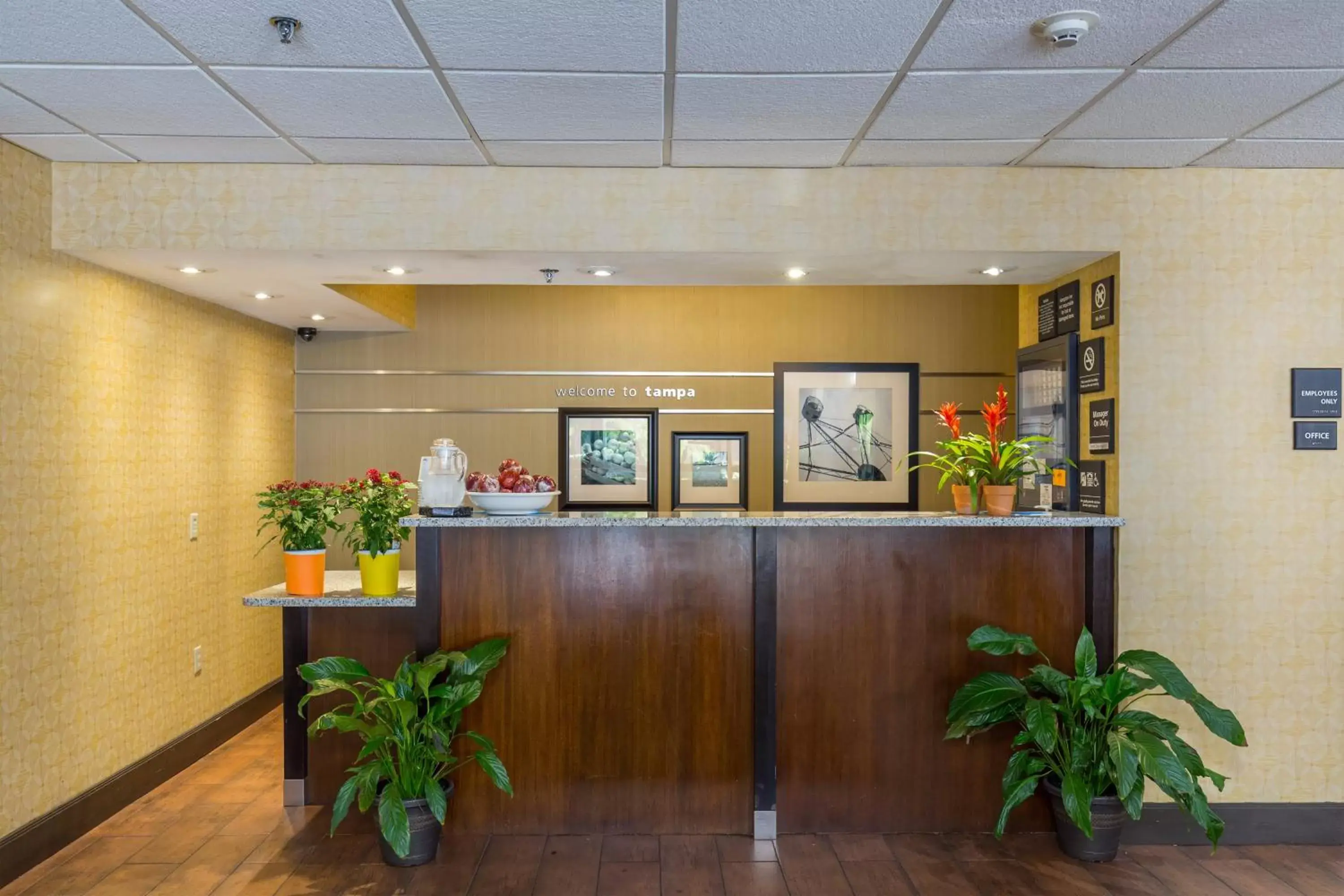 Lobby or reception, Lobby/Reception in Brandon Center Hotel