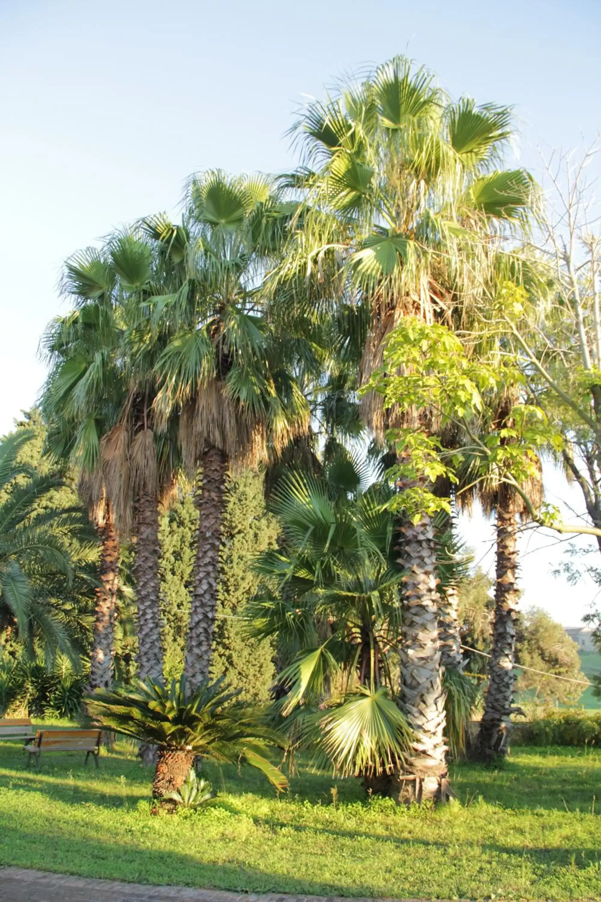 Garden in San Michele Apartments&Rooms