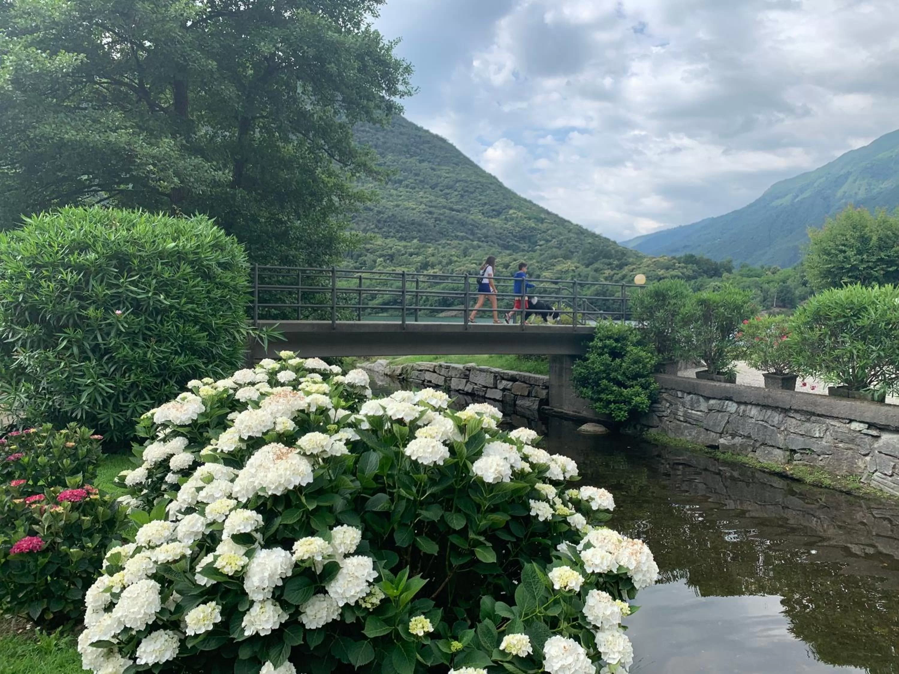 Pets in Hotel Ristorante La Quartina