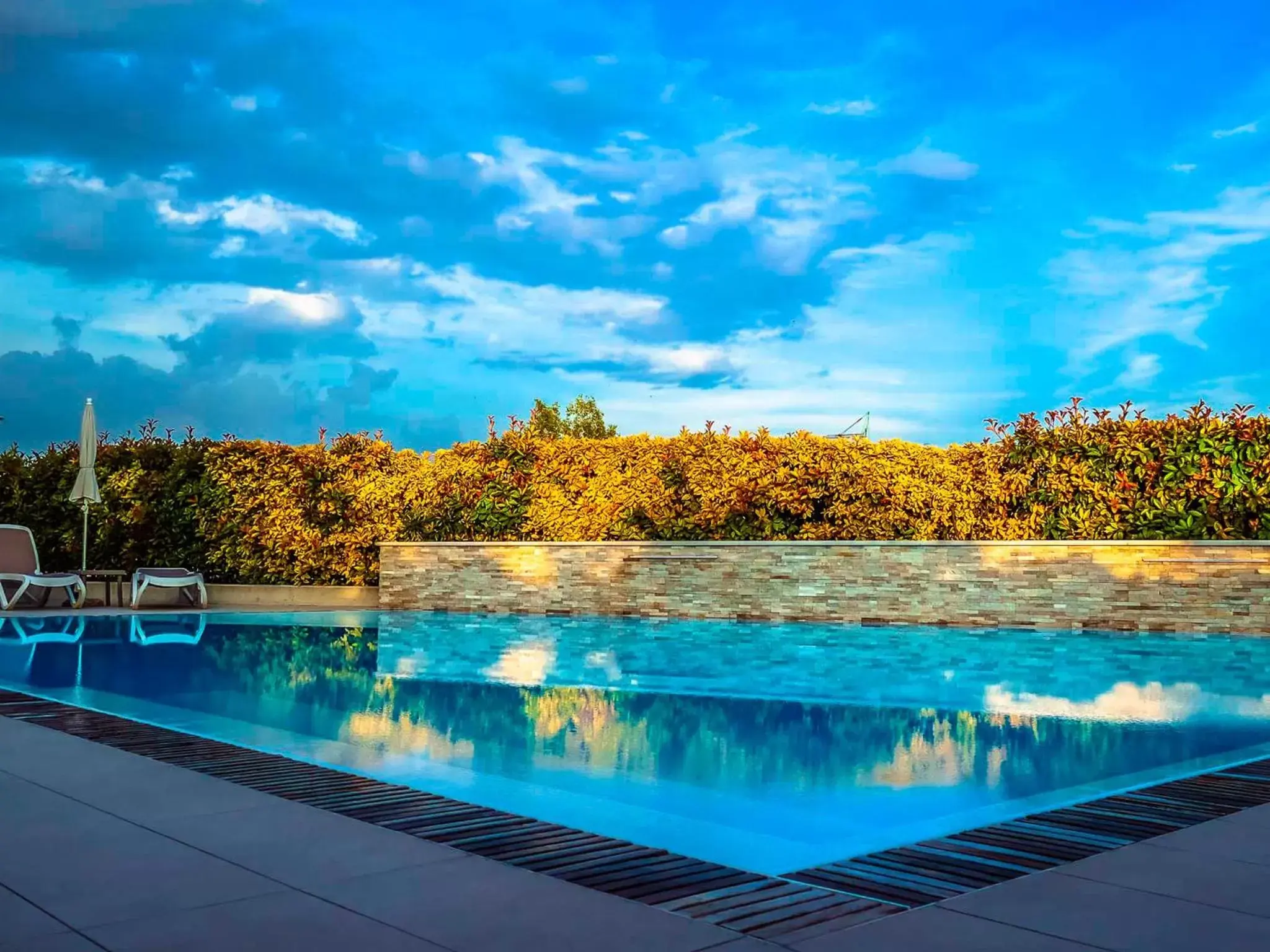 Pool view, Swimming Pool in Hotel Relais Agli Olivi