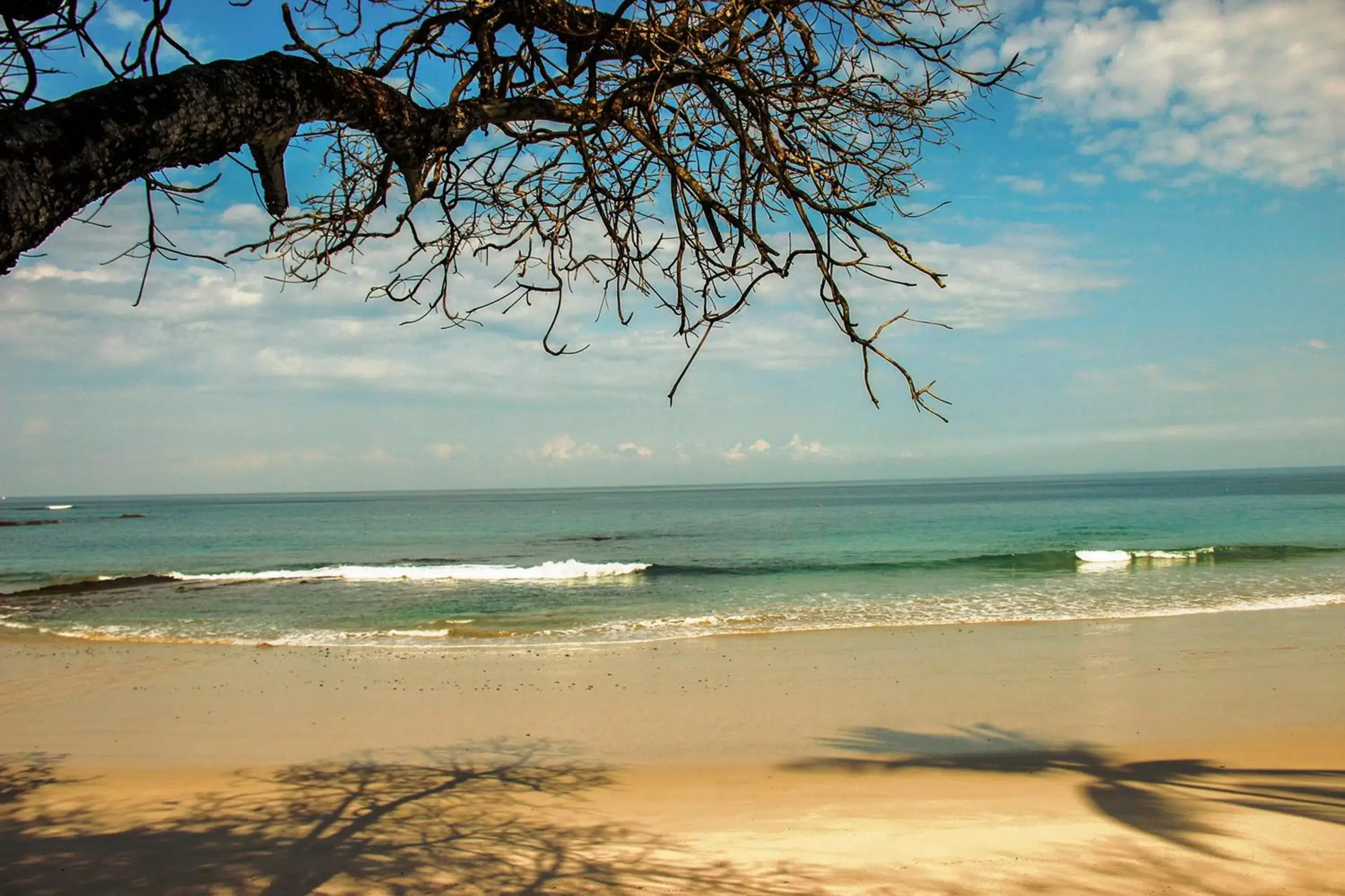 Beach in Hotel Arenas en Punta Leona