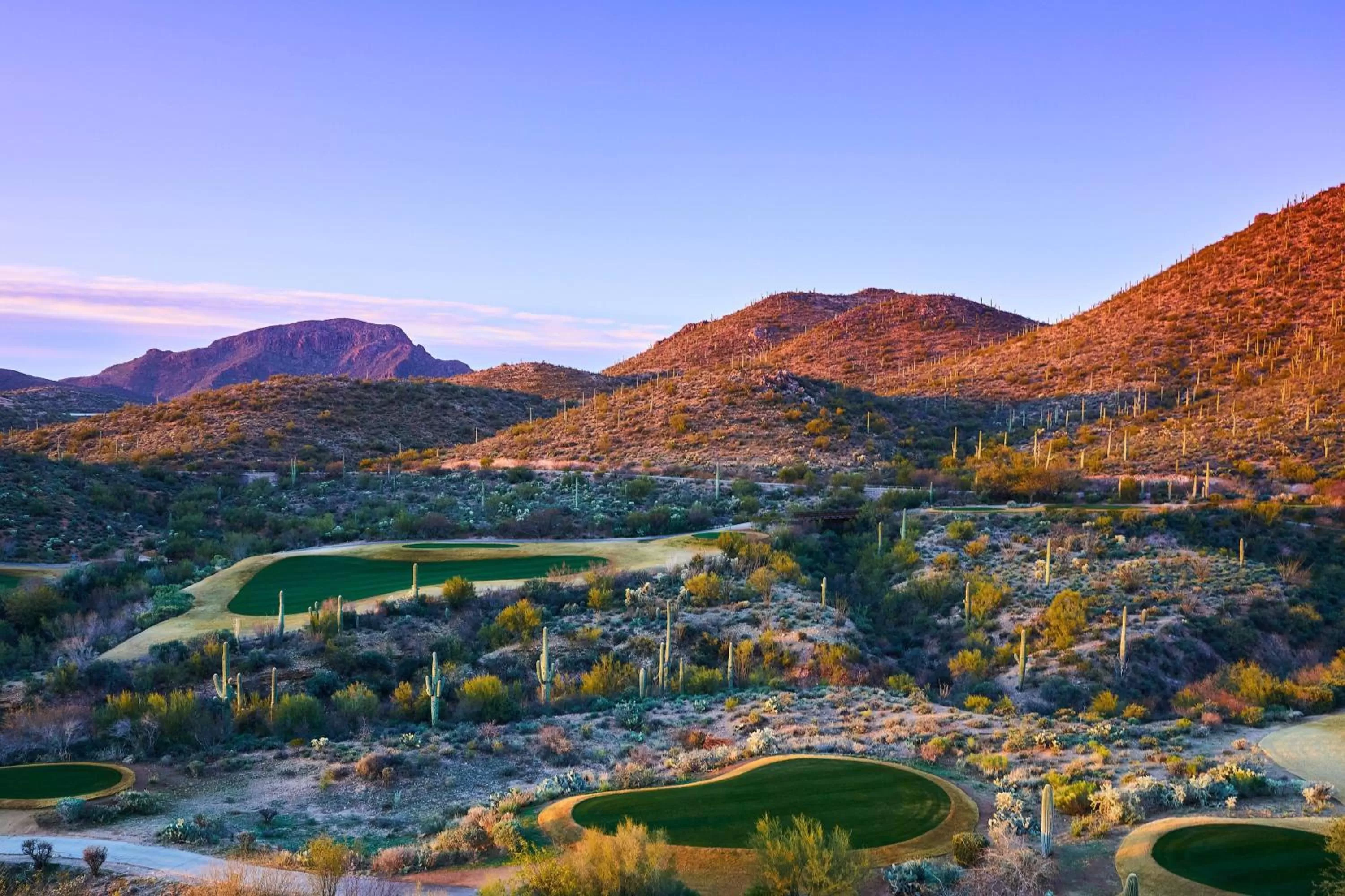 Bedroom in JW Marriott Tucson Starr Pass Resort