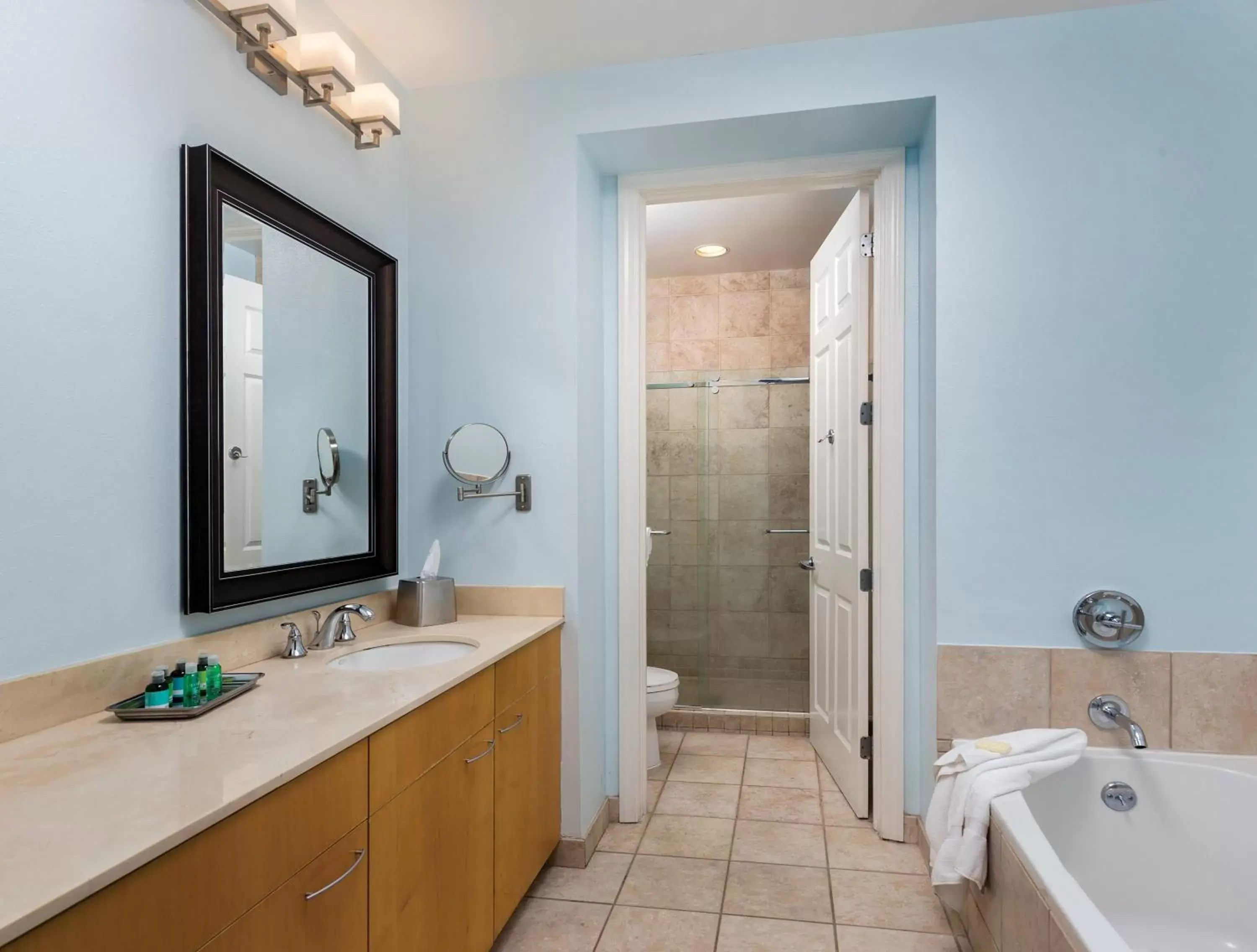 Other, Bathroom in Club Wyndham Skyline Tower