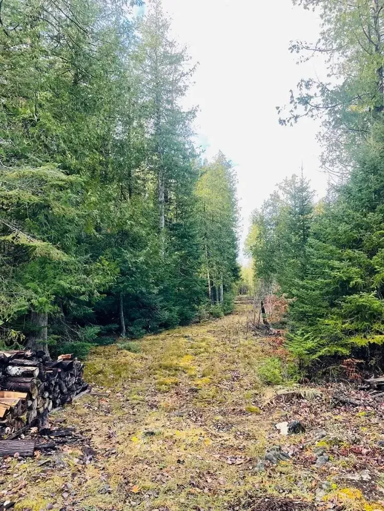 Natural Landscape in Drummond Island Resort & Conference Center