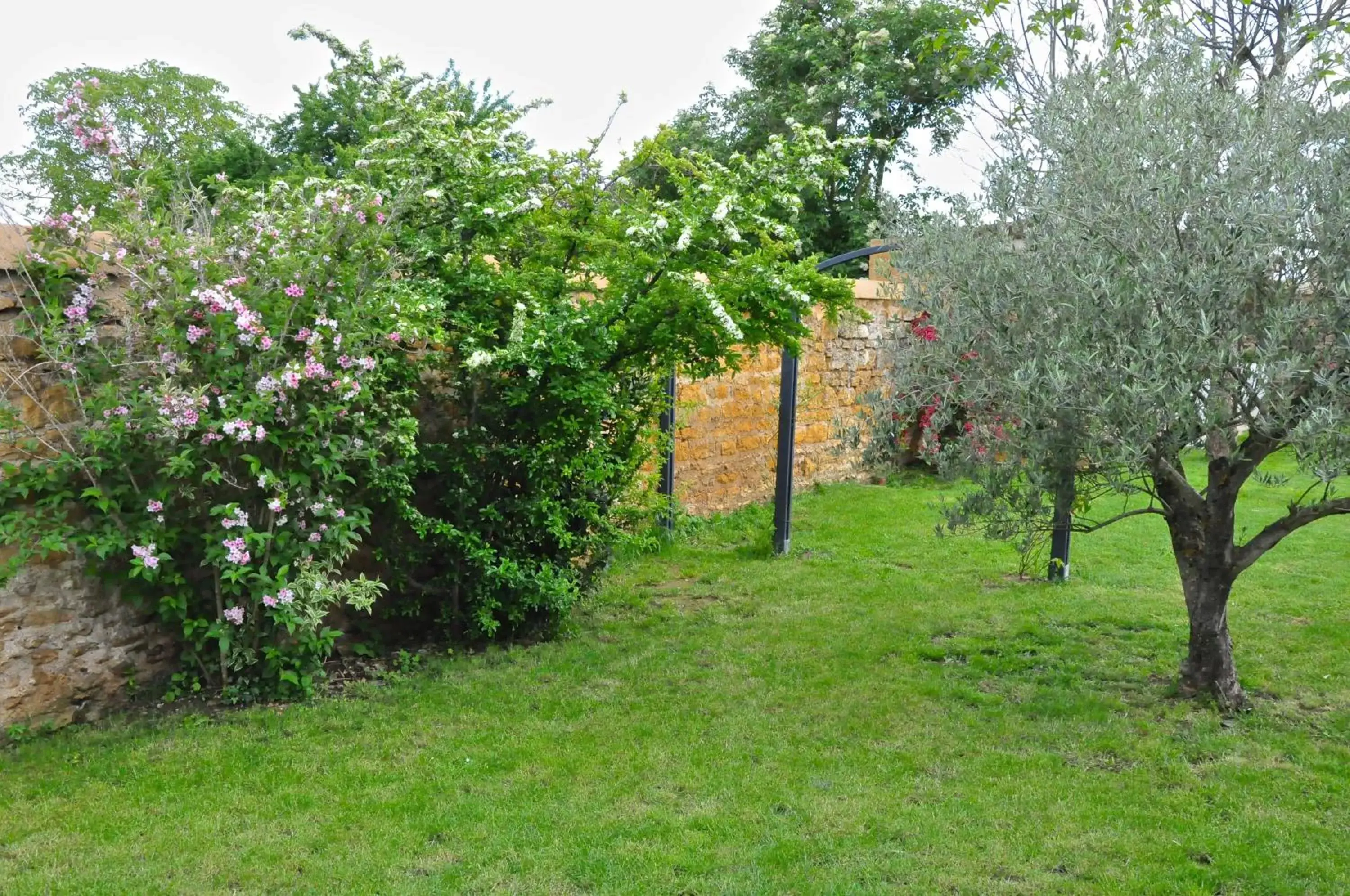 Garden in Le Clos du Cher en Beaujolais