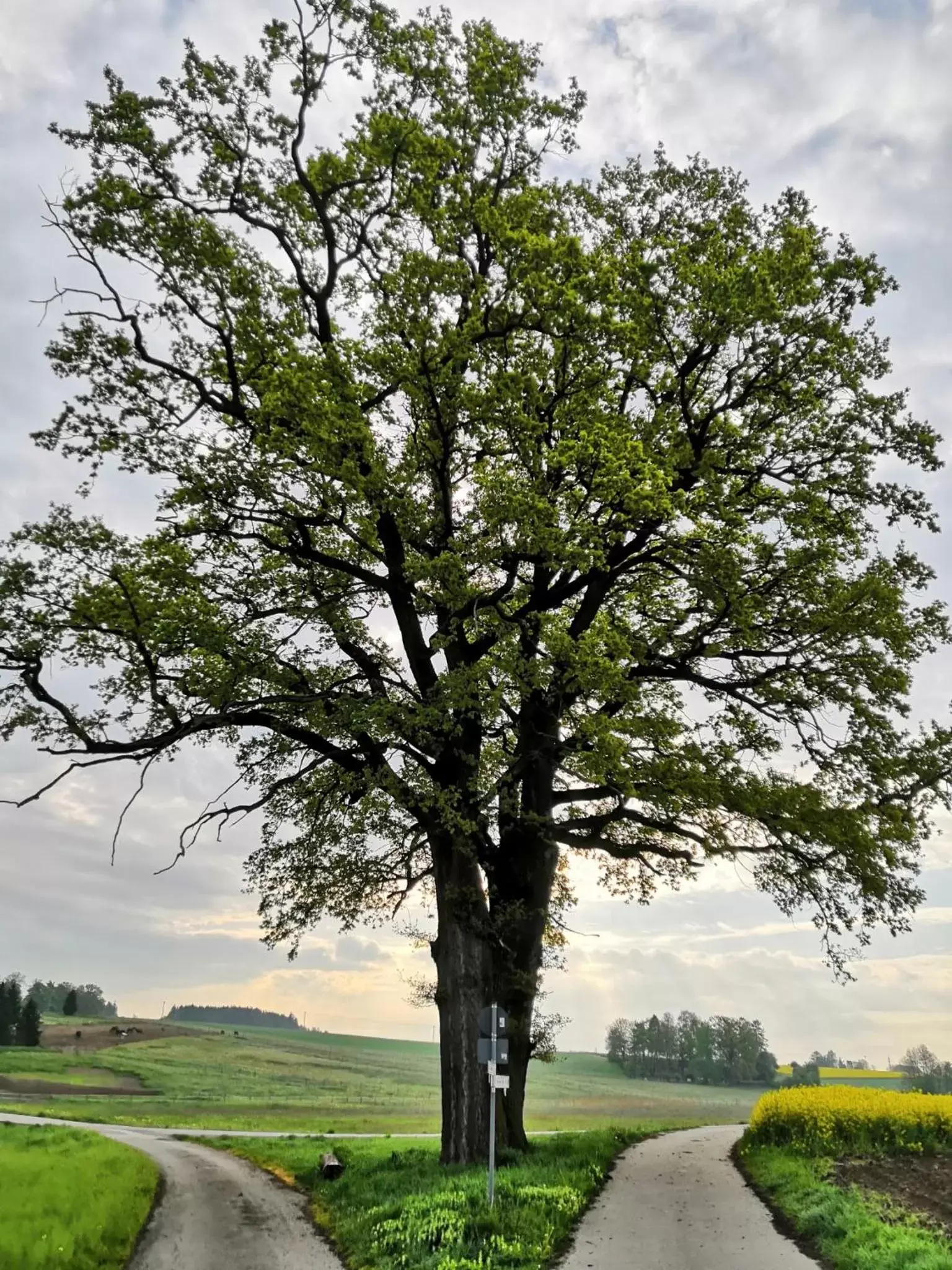 Natural landscape in Ampervilla Hotel