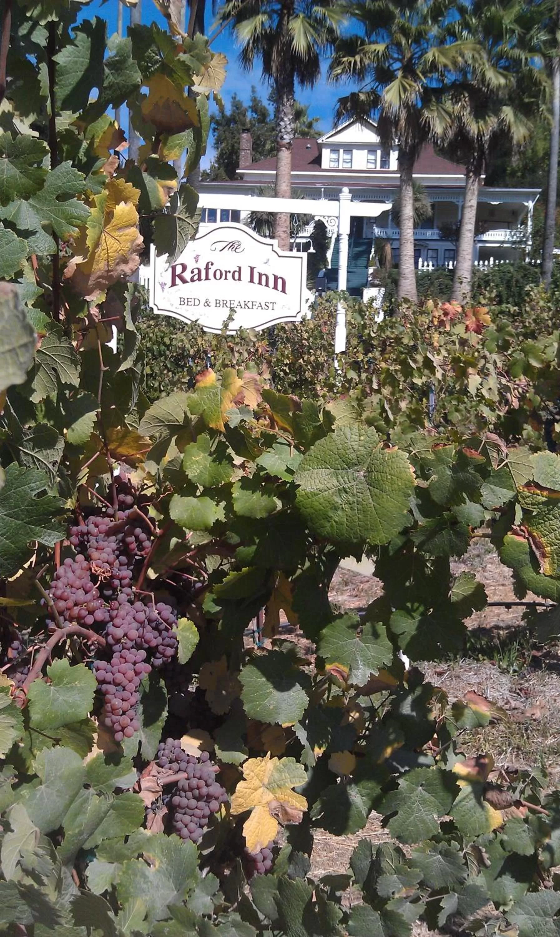 Property Building in The Raford Inn