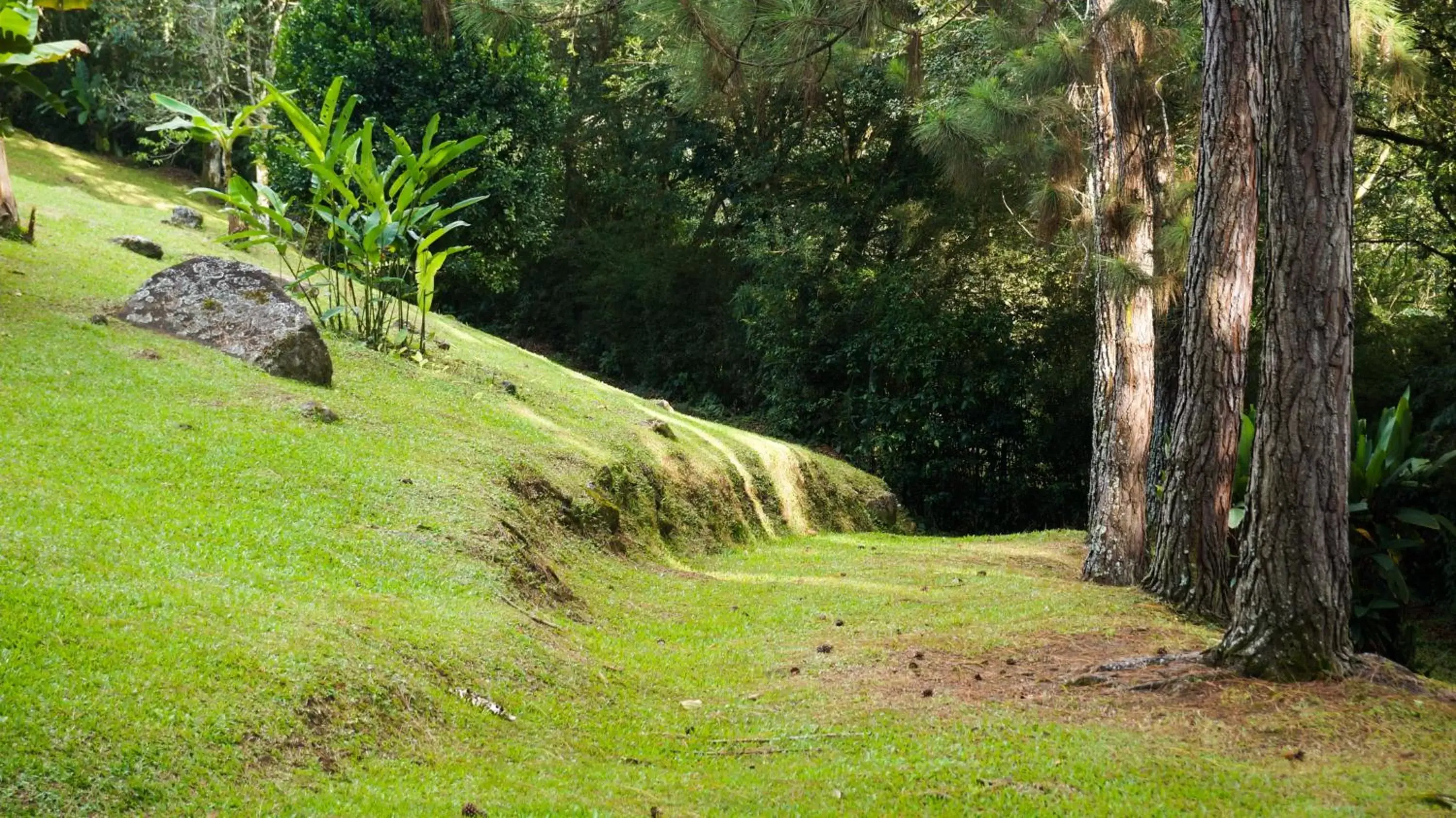 Garden, Natural Landscape in Hospedaje La Naciente