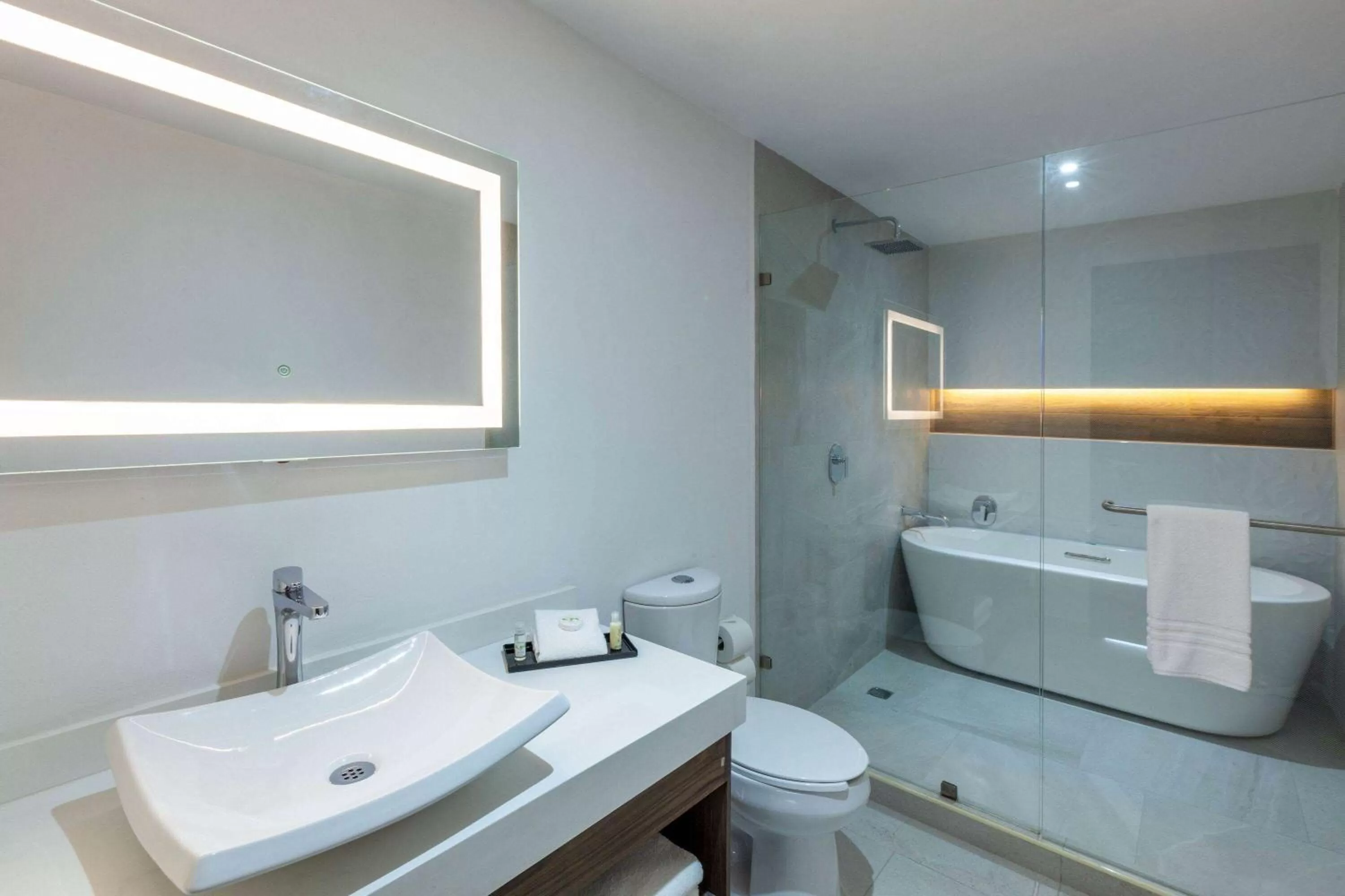 TV and multimedia in Wyndham Puebla Angelopolis