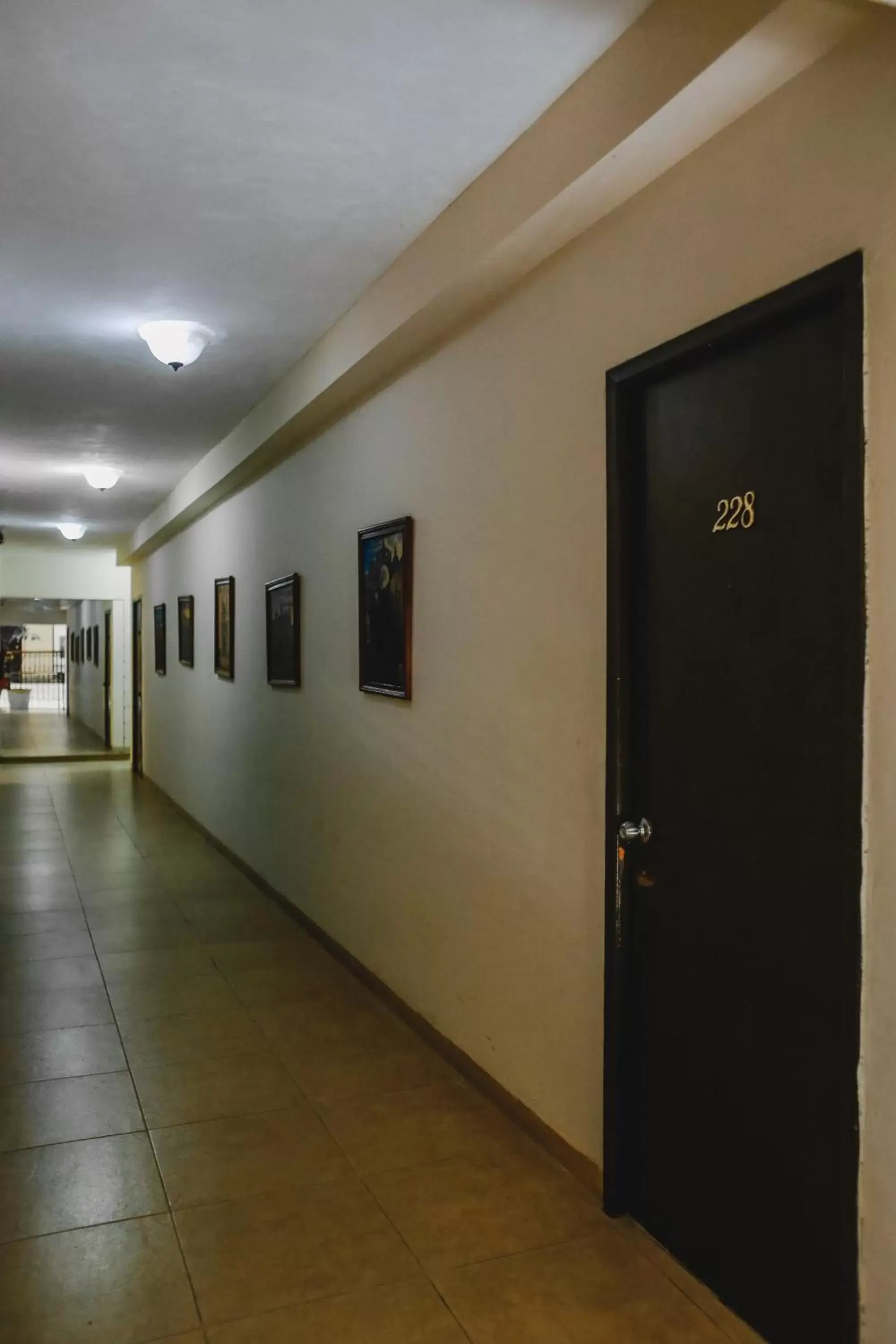 Area and facilities in Hotel Colon Merida