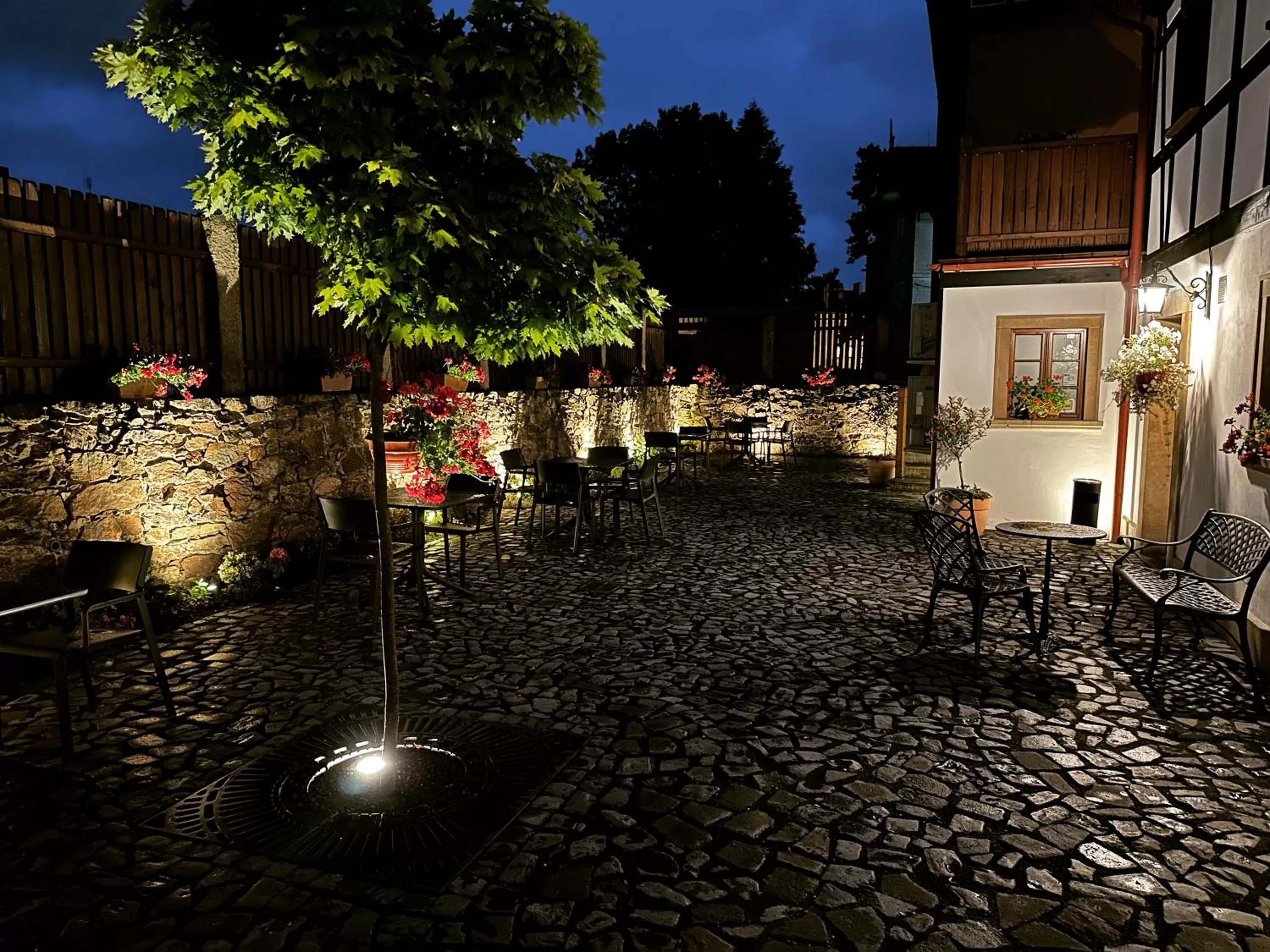 Garden in Pensjonat Dom Zegarmistrza