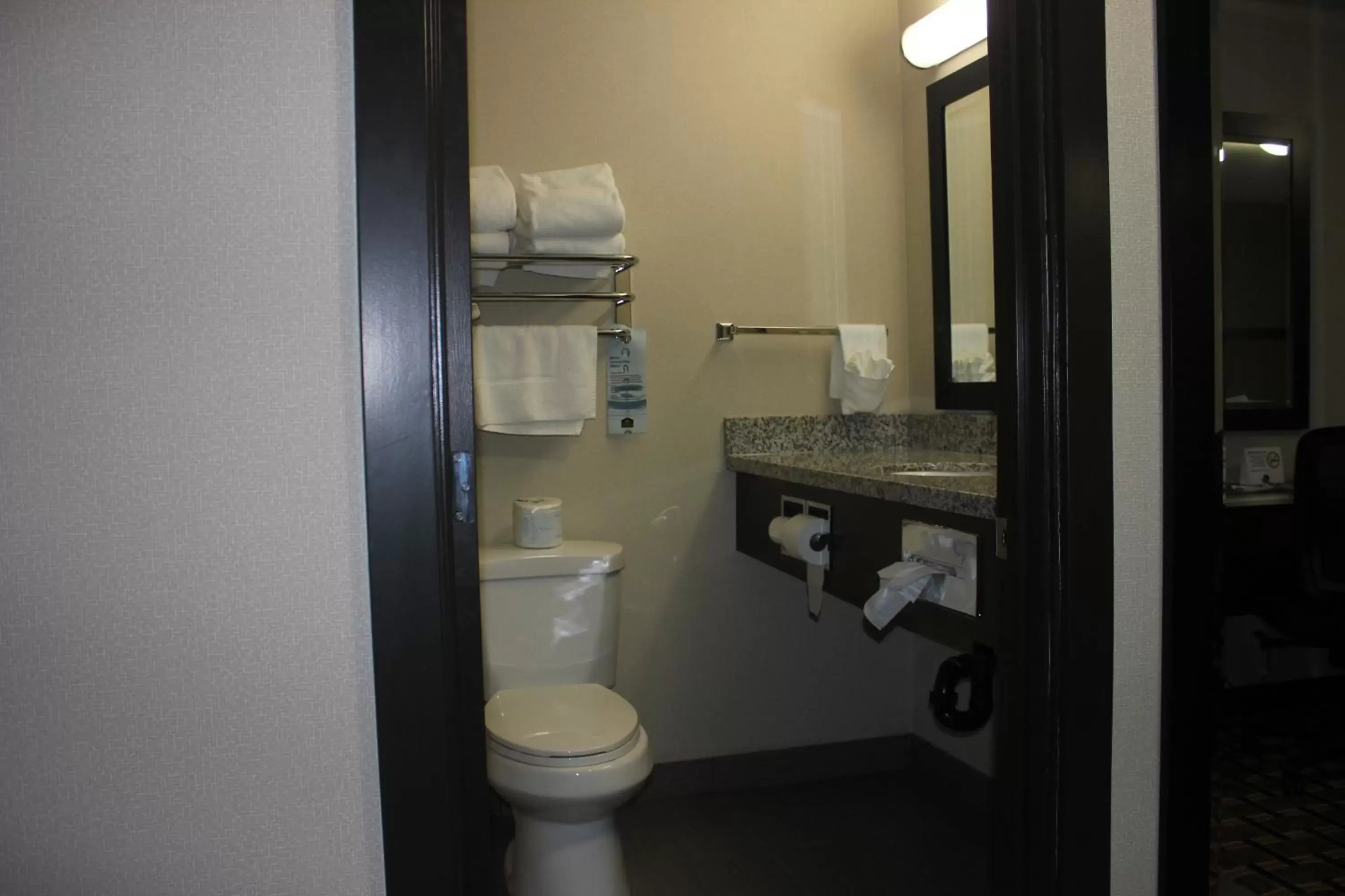 Bathroom in Western Star Inn & Suites Esterhazy