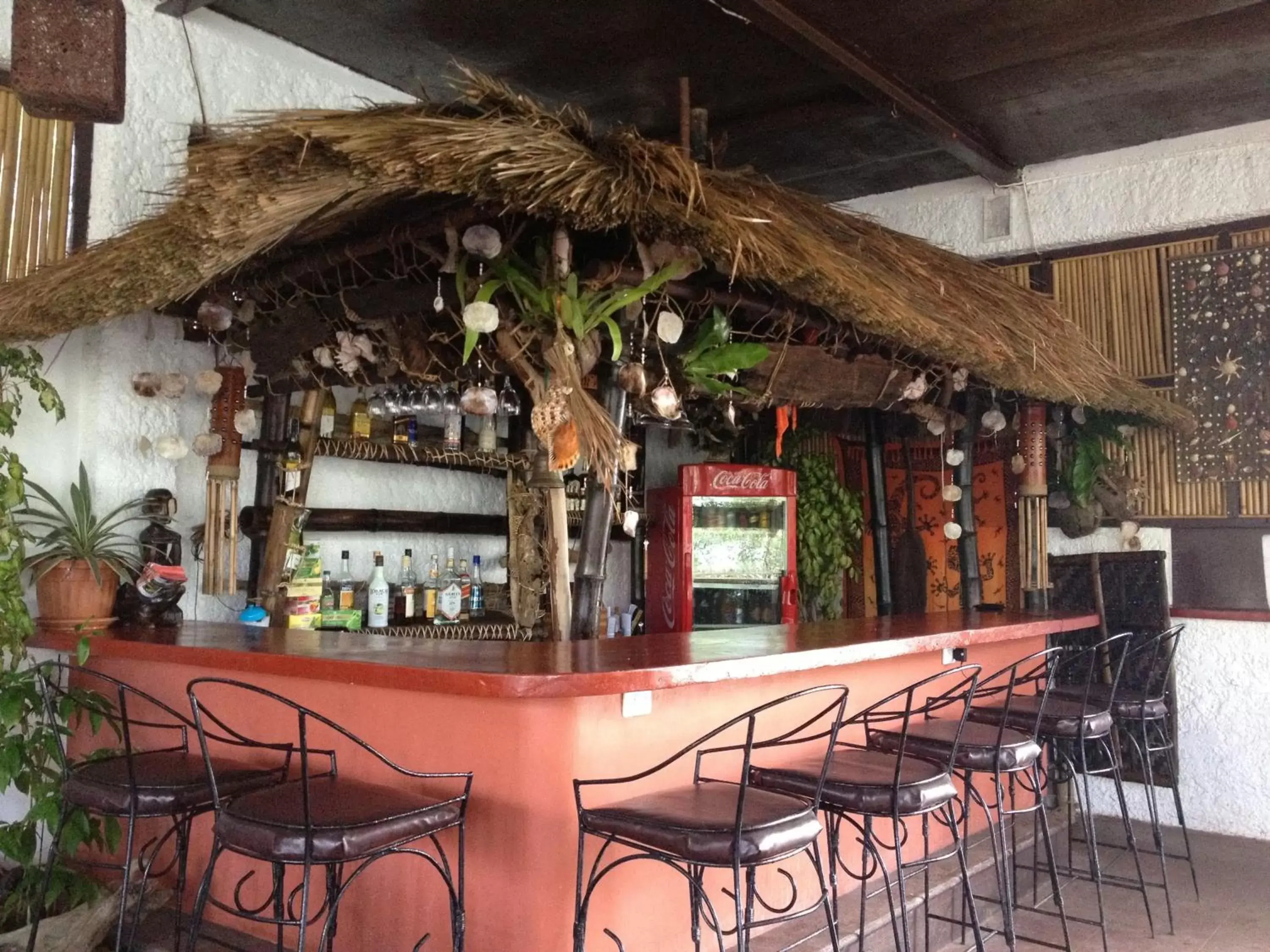 Restaurant/places to eat in Discovery Island Resort Restaurant/places to eat in Discovery Island Resort