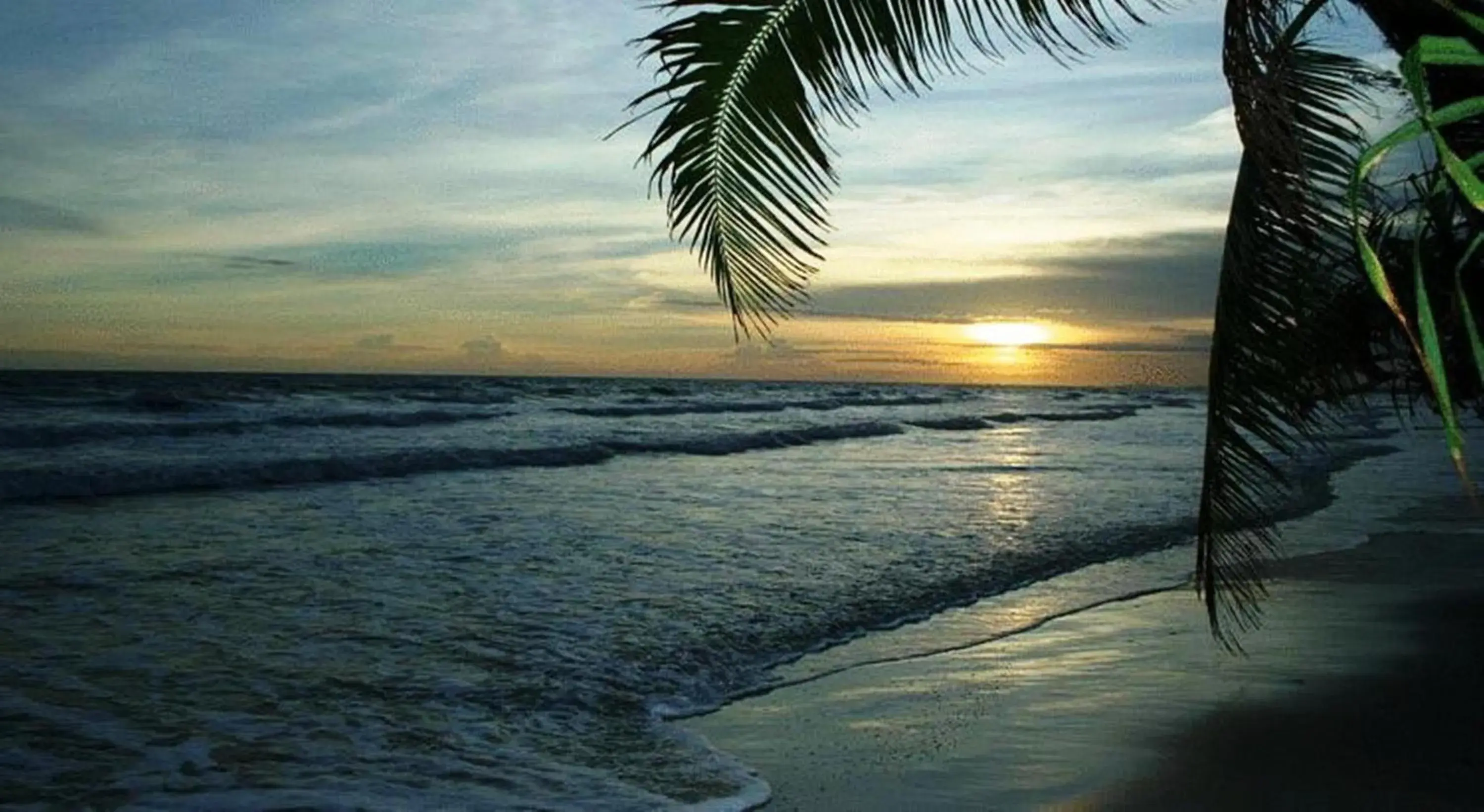 Natural landscape, Beach in Nice Beach Hotel