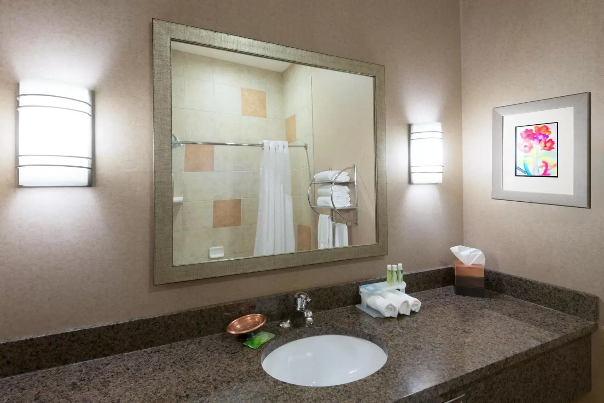 Bathroom in Holiday Inn Express Hotel Vernal, an IHG Hotel