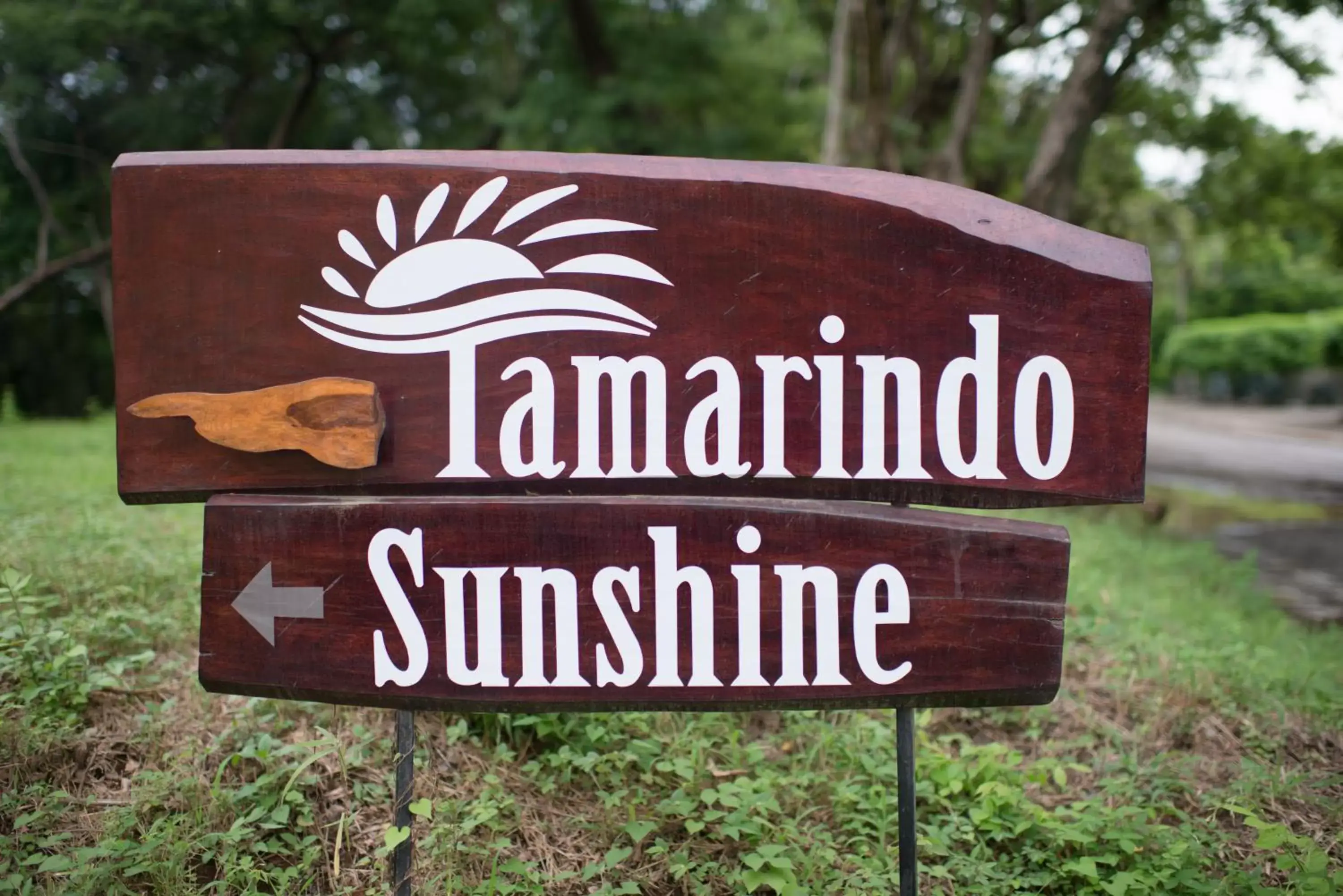 Property logo or sign, Property Logo/Sign in Tamarindo Sunshine
