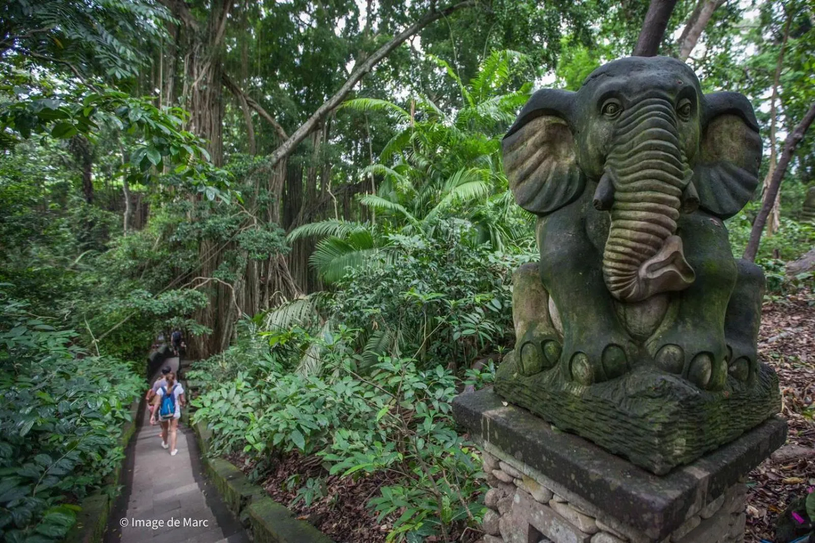 Garden view in Dewangga Ubud
