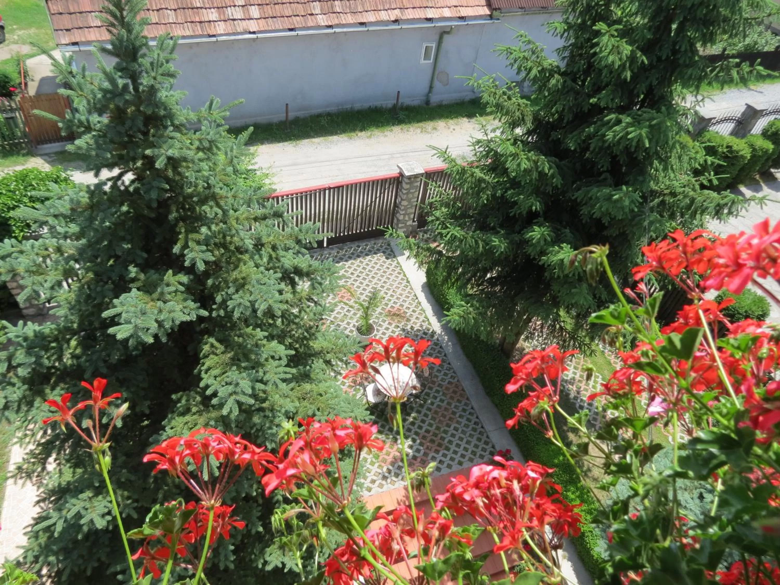 Street view in Csaki Vendeghaz